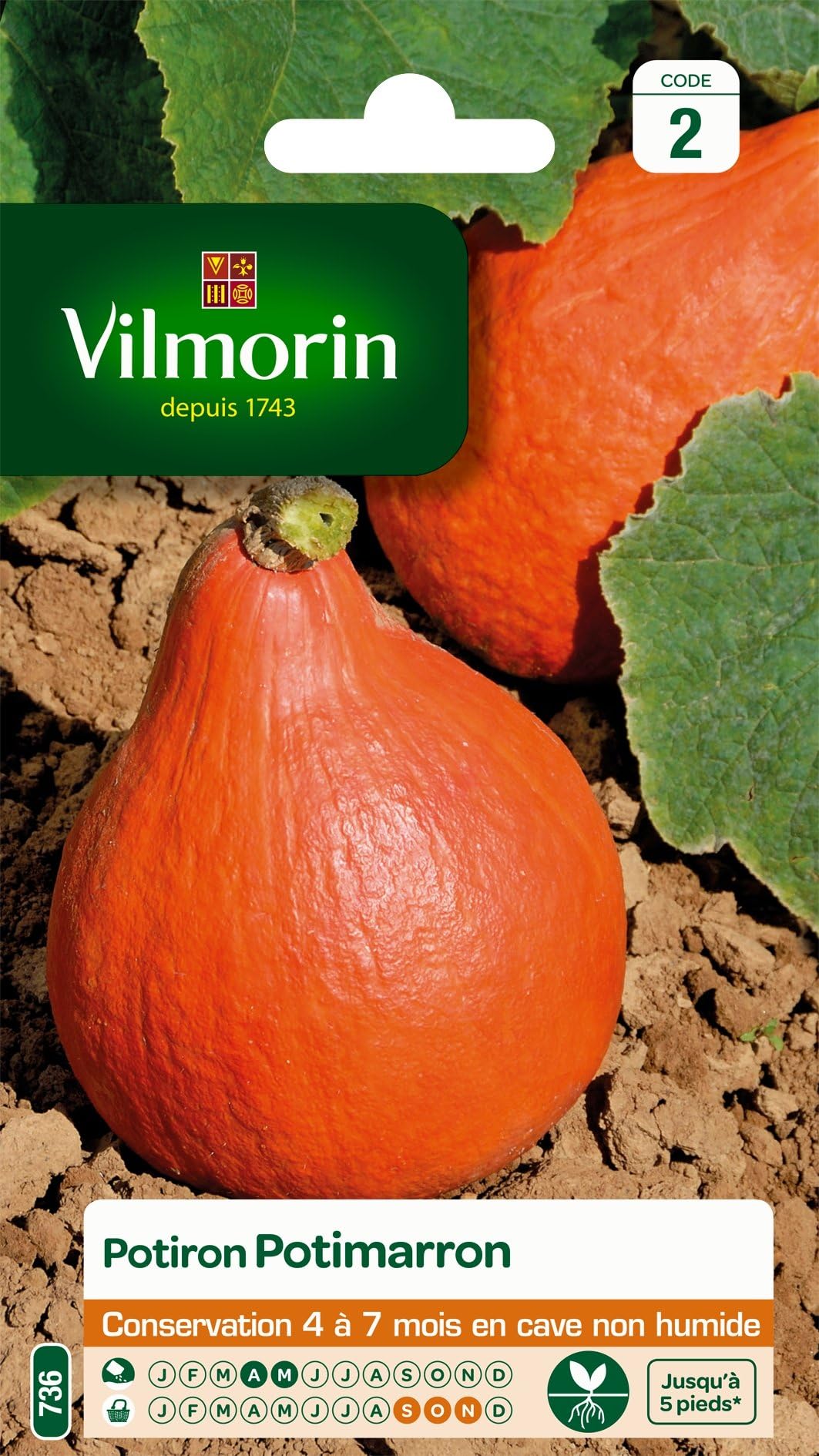 15 Graines De Melon Amer Ampalaya Bio - Plante Comestible Et Décorative