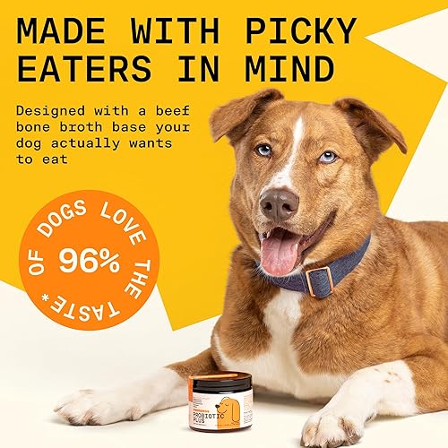 Miniatura 5 de Pawgress Probiotic Plus Powder - Multivitamínico para perros - Suplemento con fibra, probióticos, prebióticos, postbióticos y más - 30 cucharadas