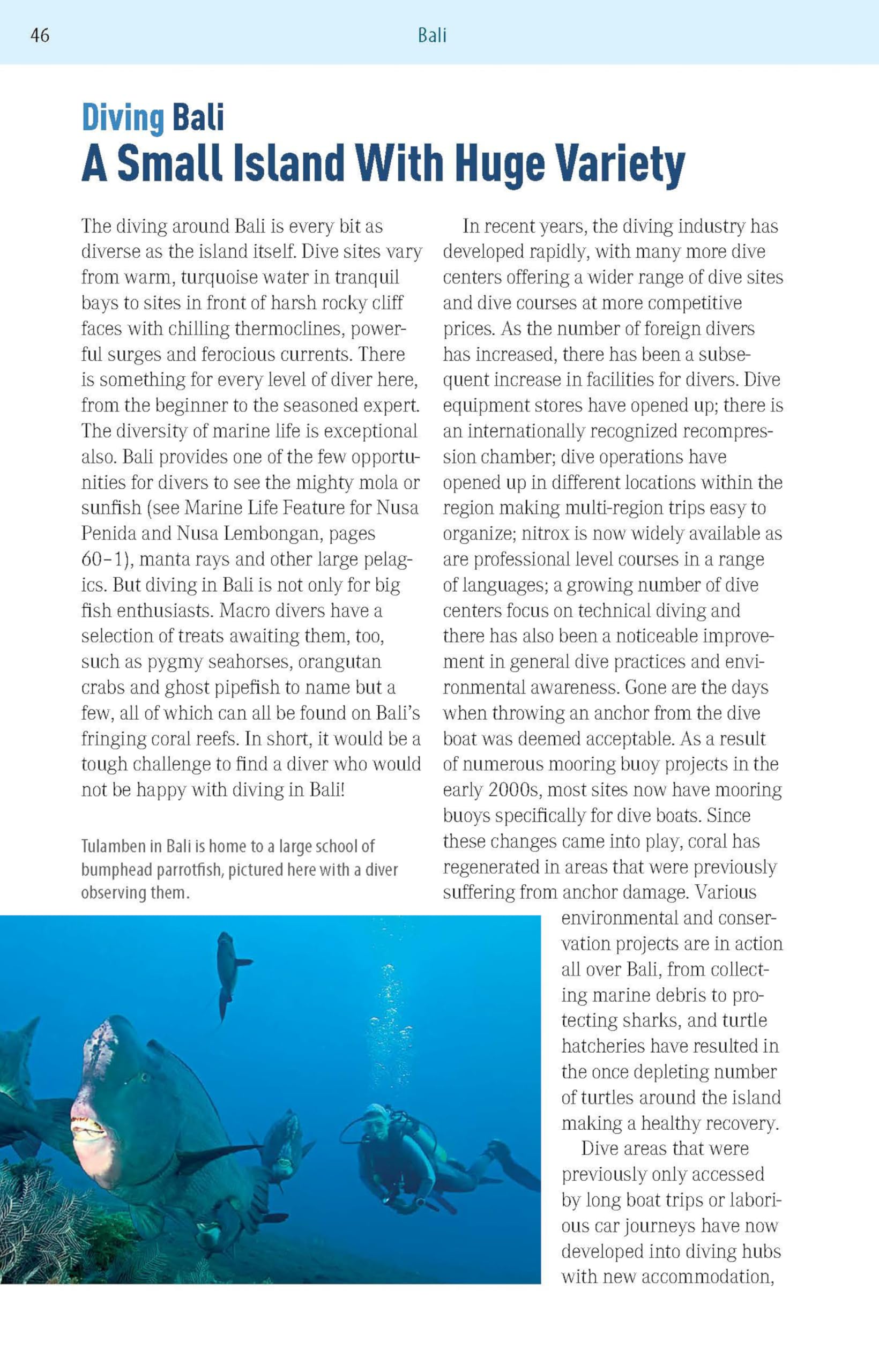 The Ultimate Guide to Diving in Indonesia: Exploring the Tropical Seas with the World's Greatest Marine Biodiversity