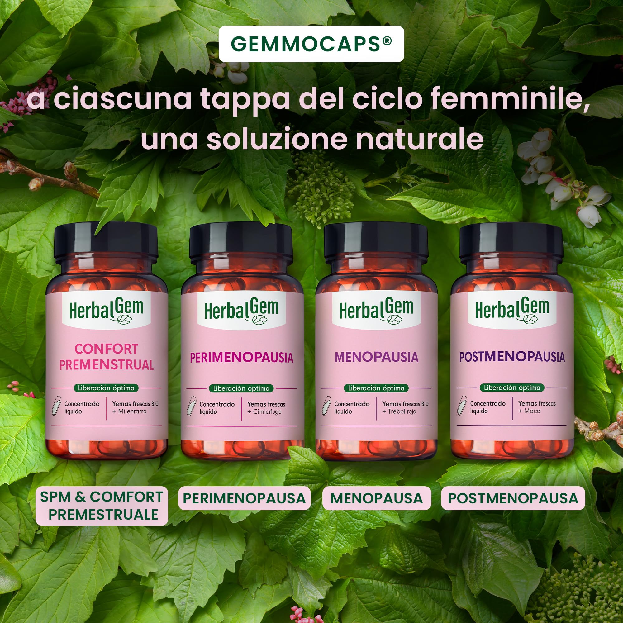 HerbalGem - GEMMOCAPS Postmenopausa - Complemento Senza Ormoni - Allevia il Disagio e Rafforza le Funzioni Ossee e Cognitive - 30 capsule
