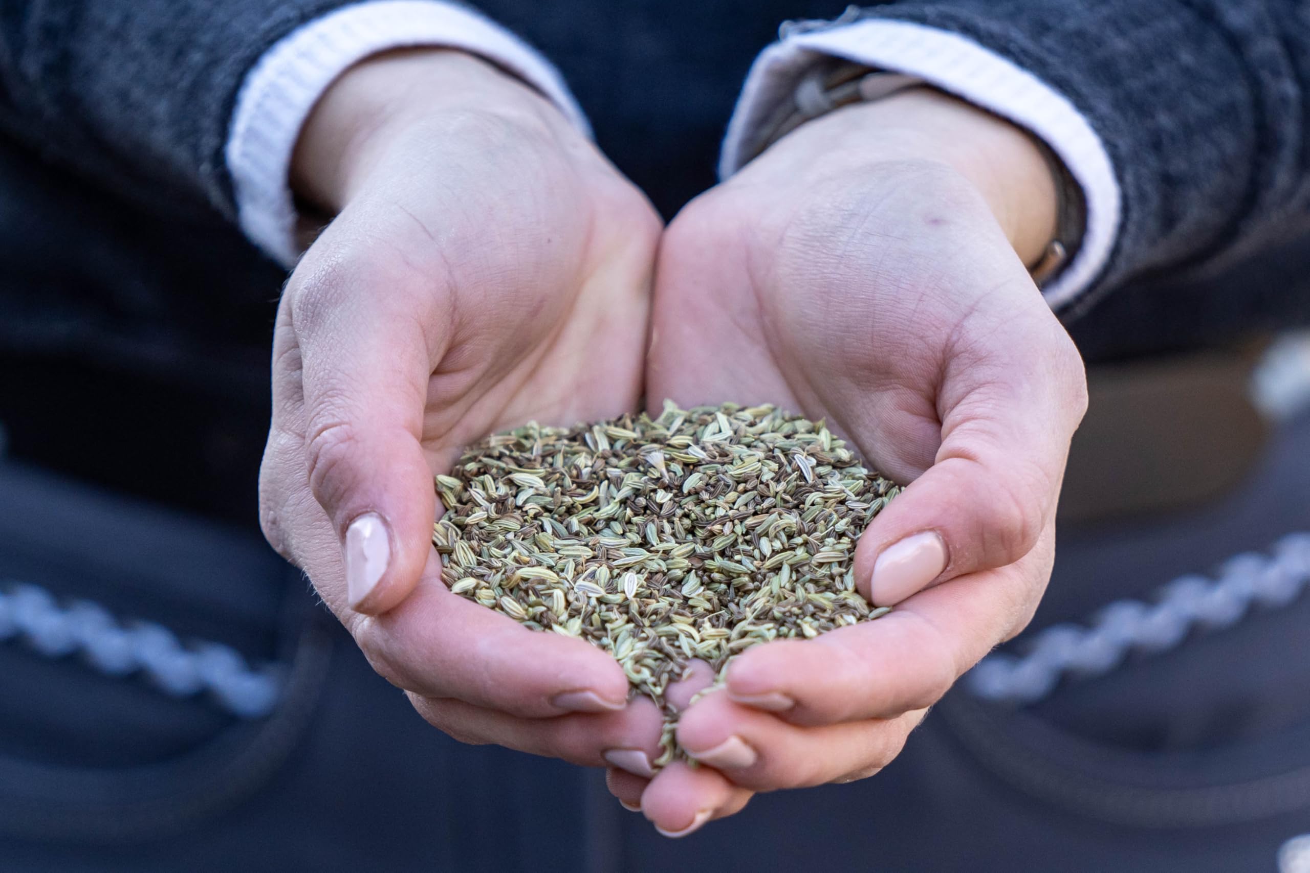 Stiefel Magenkräuter für Pferde 100% naturbelassene Kräutermischung, kann zur Unterstützung des Magens & des Verdauungssystems beitragen,1kg