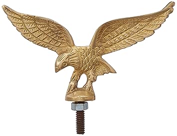 BikenWear A-64 Customized Front Eagle Mudguard for Royal Enfield