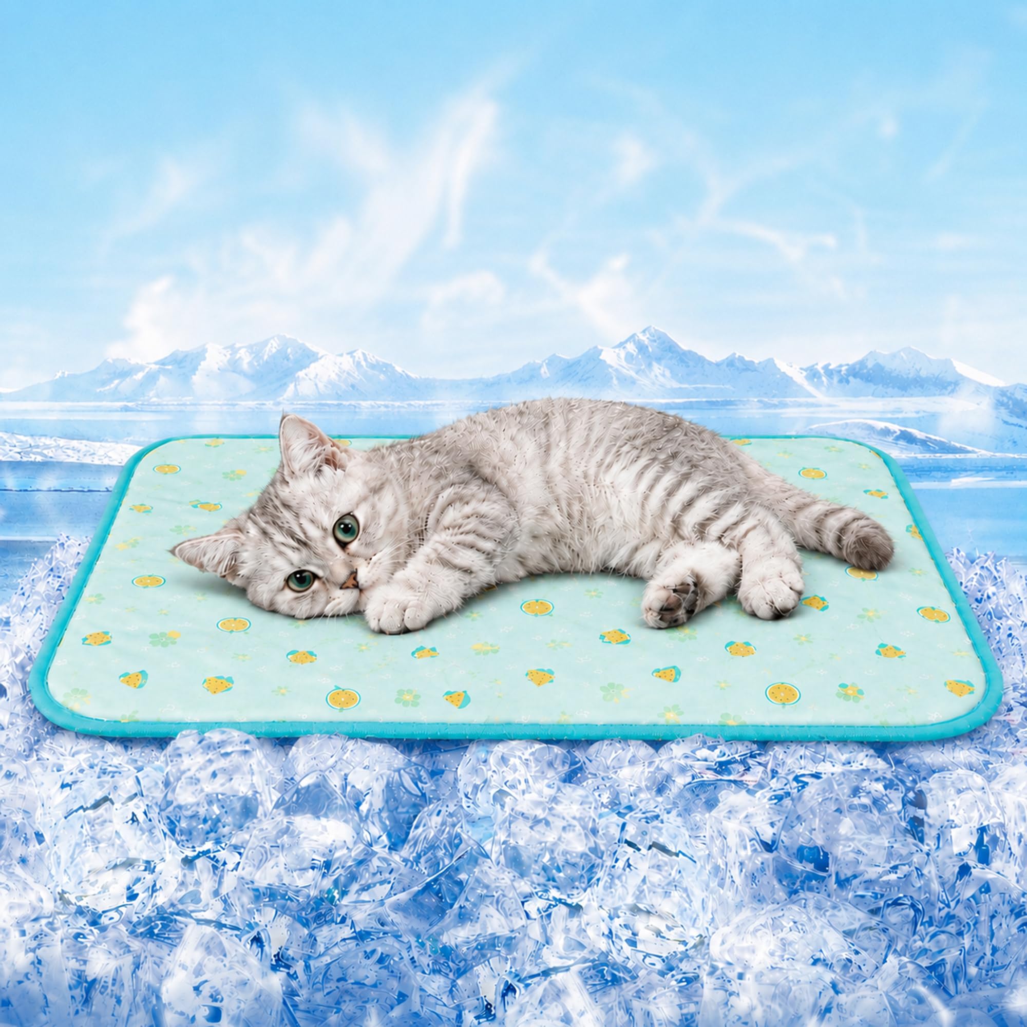 Dog Cooling Mat for Dogs & Cats, Self Cooling Pad, 51x41cm, 1-Pack, Melon