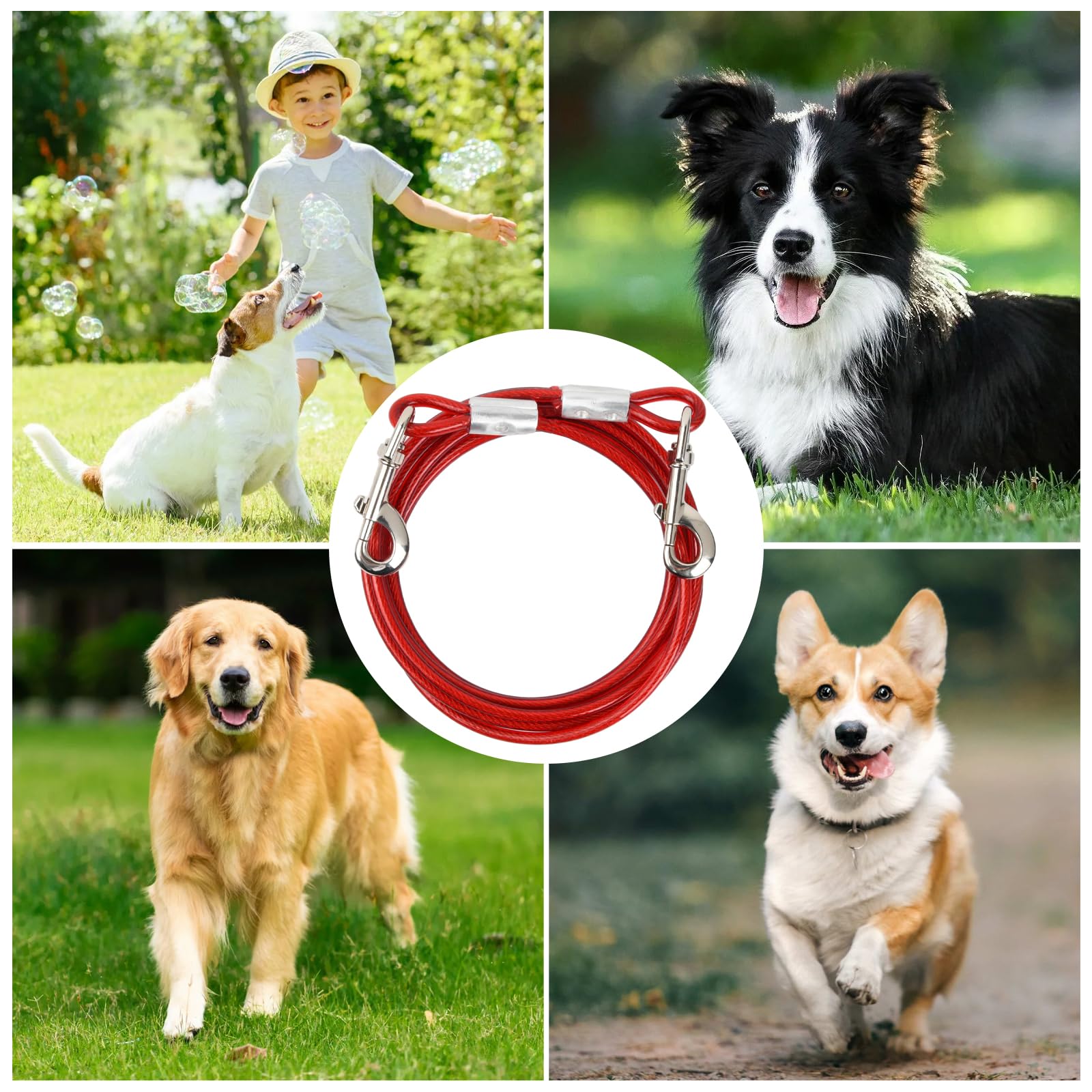 Guinzaglio Per Cani 10m Con Picchetto - Cavo Acciaio Inossidabile, Gancio 360°, Per Giardino E Campeggio