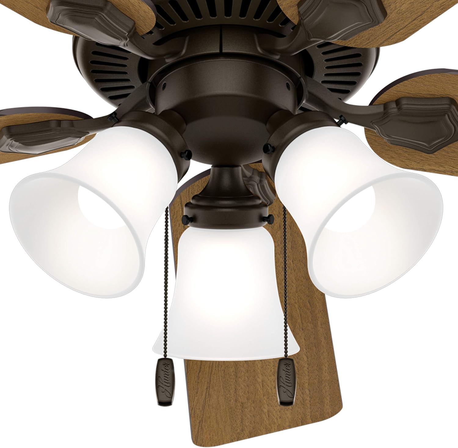 Hunter ceiling fan light kit with pull chains
