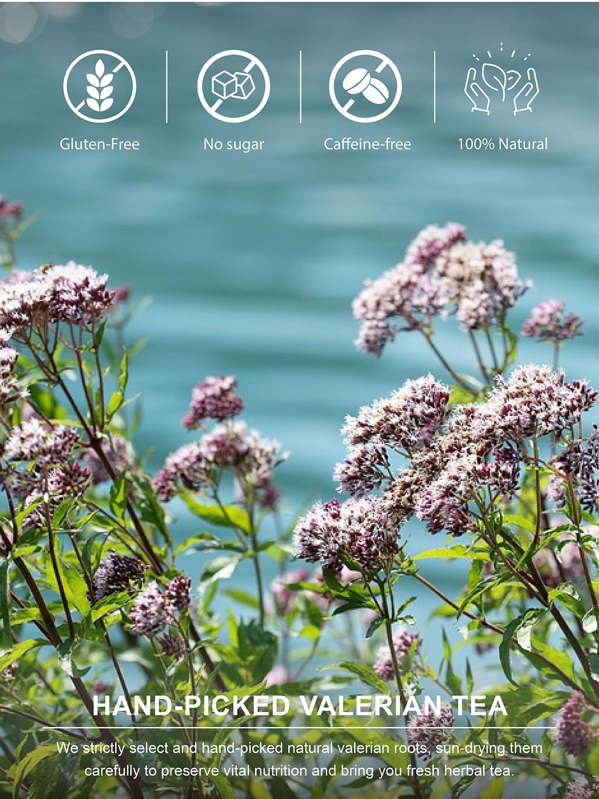 Snapklik.com : Valerian Root Tea Bags, Smooth & Mild Taste, Caffeine ...