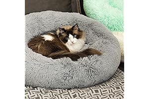 Mr Fluffy Friends Cat Bed: The Cloud That Envelops Your Feline With Comfort