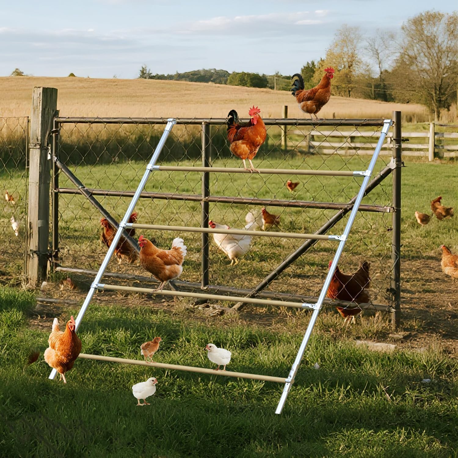Escalera de asiento para gallinas de madera, escalera para gallinas, para gallinas, para 6 – 10 gallinas, 130 x 100 x 2,5 cm, madera natural (4 niveles, escalera de gallinas)