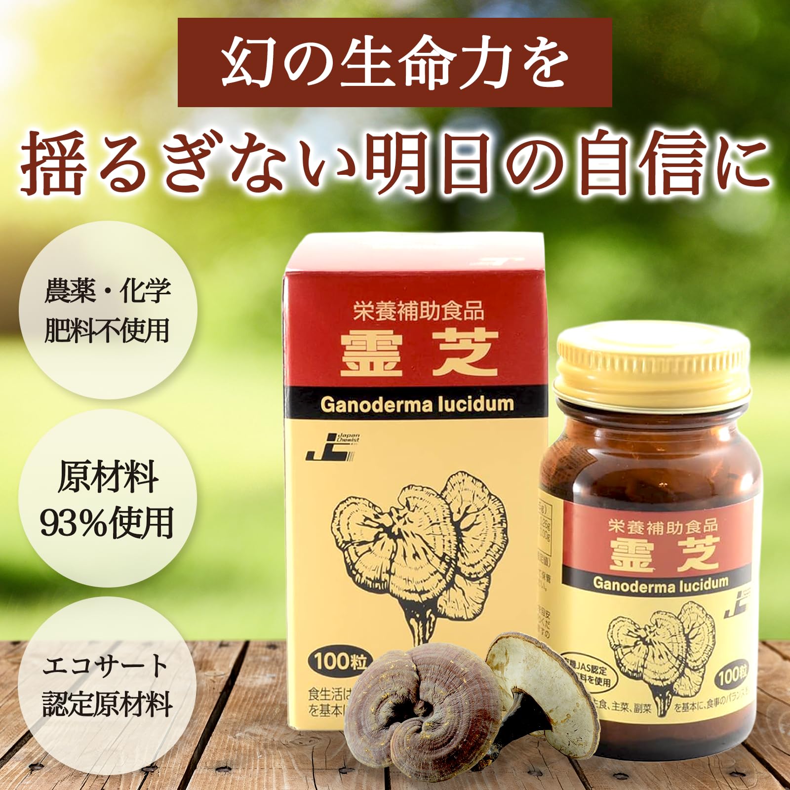 Amazon | 日本ケミスト 霊芝（れいし）リニューアル版 100粒 原材料93