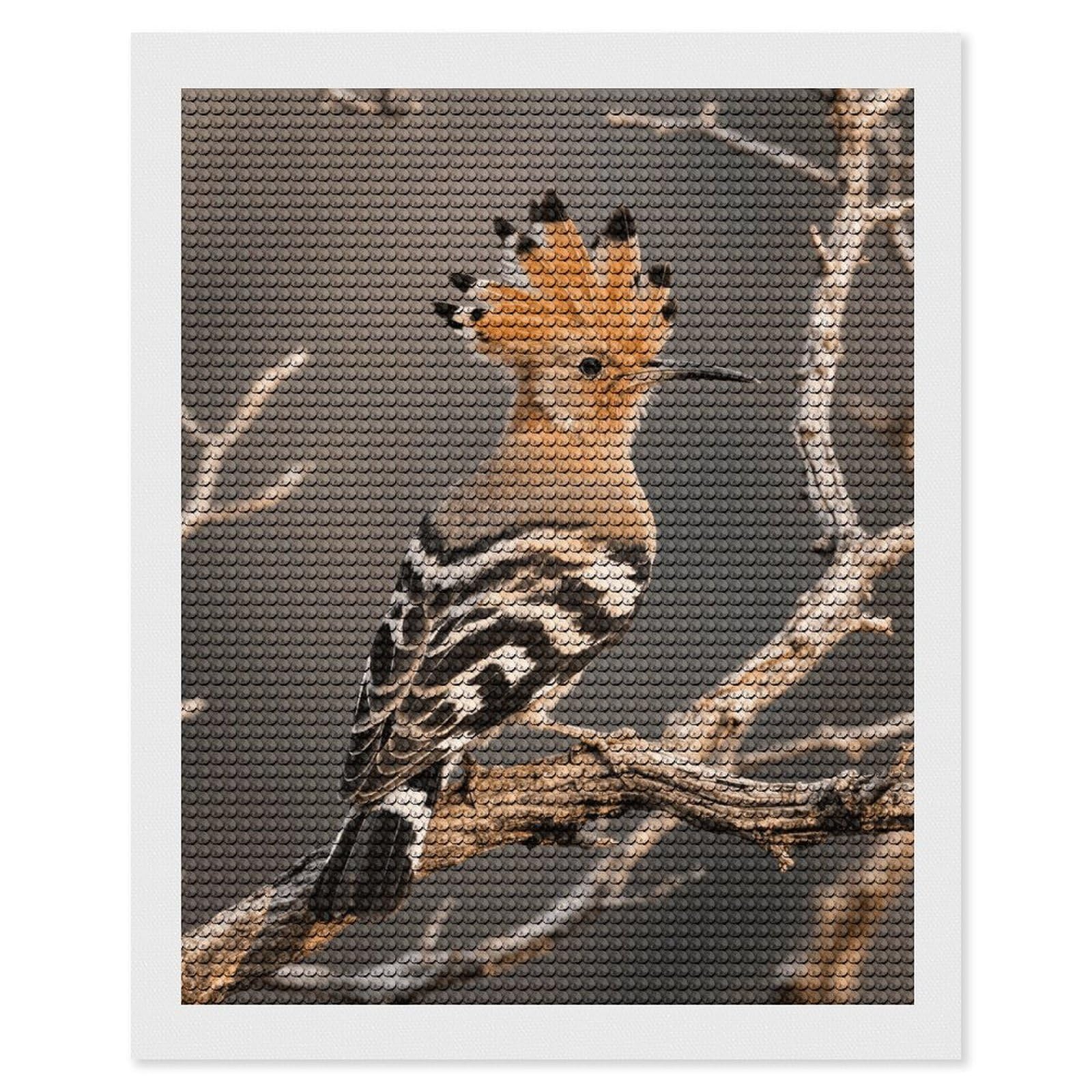 FodPand Hoopoe 5D Diamond Painting Kits for Adults Beginners Full Drill Round Diamond Dots Pictures Gem Art Supplies for Home Wall Room Decoration DIY Craft Set Gift 16x20