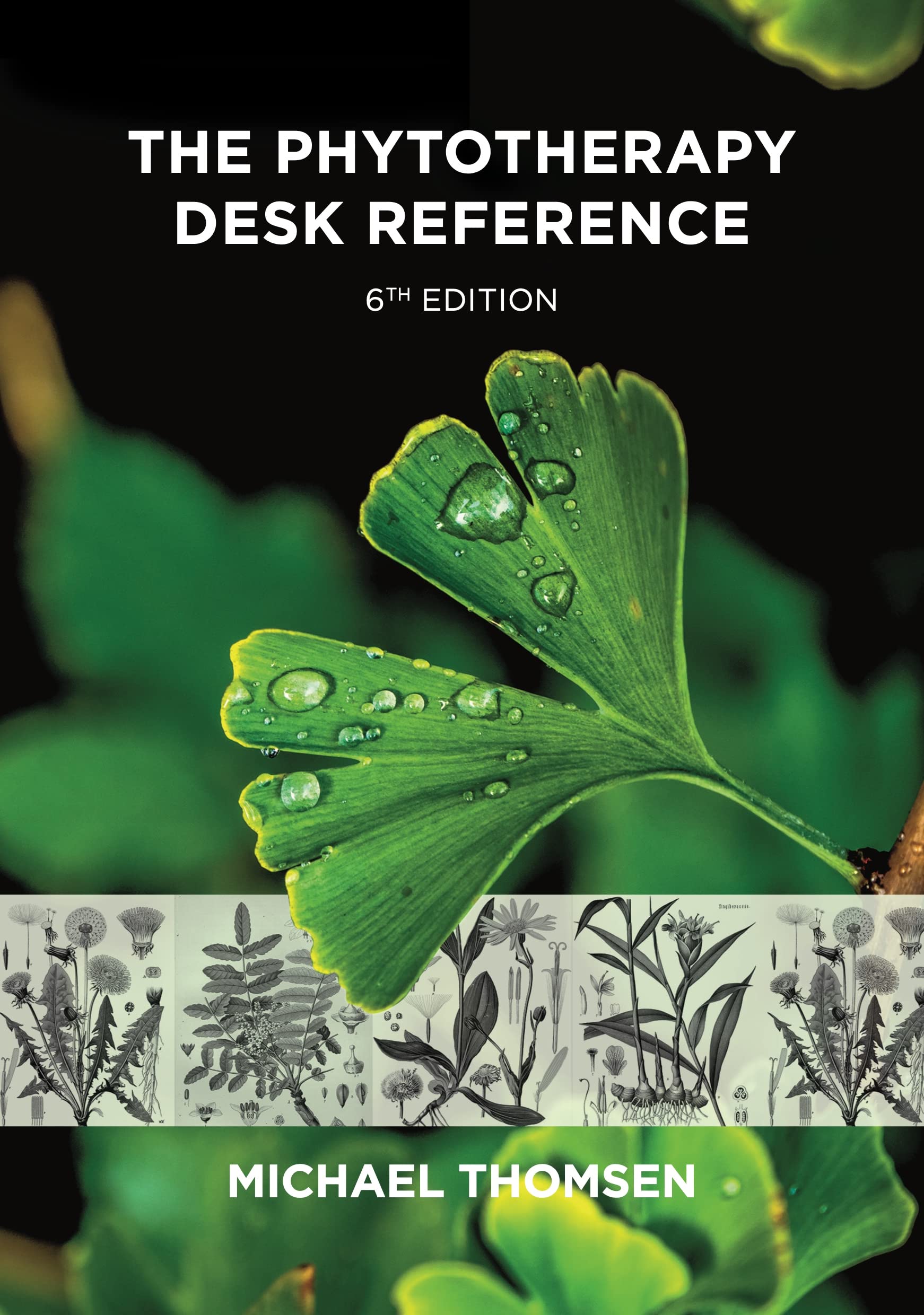 The Phytotherapy Desk Reference by Michael Thomsen - 9781801520010