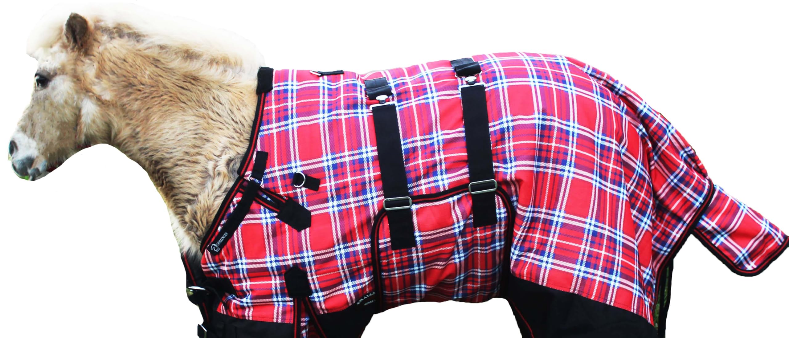 CHALLENGER 1200D Foal Winter Blanket Miniature Pony Donkey Bellyband Turquoise Rustic