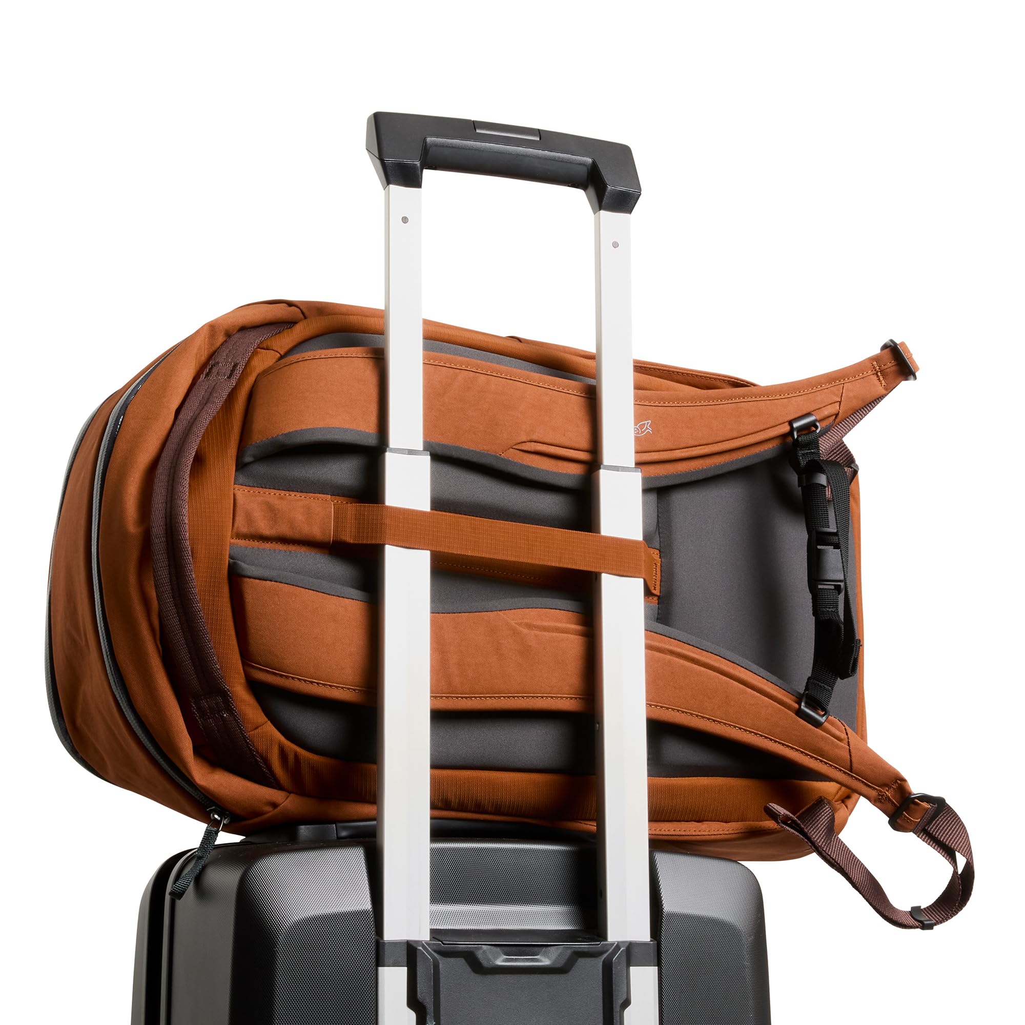 Bellroy Transit Workpack (Sac à dos Nomade 26 L, pour ordinateur portable jusqu'à 16", accessoires hi-tech, tenue de sport, paire de chaussures, gourde, objets du quotidien) - Bronze