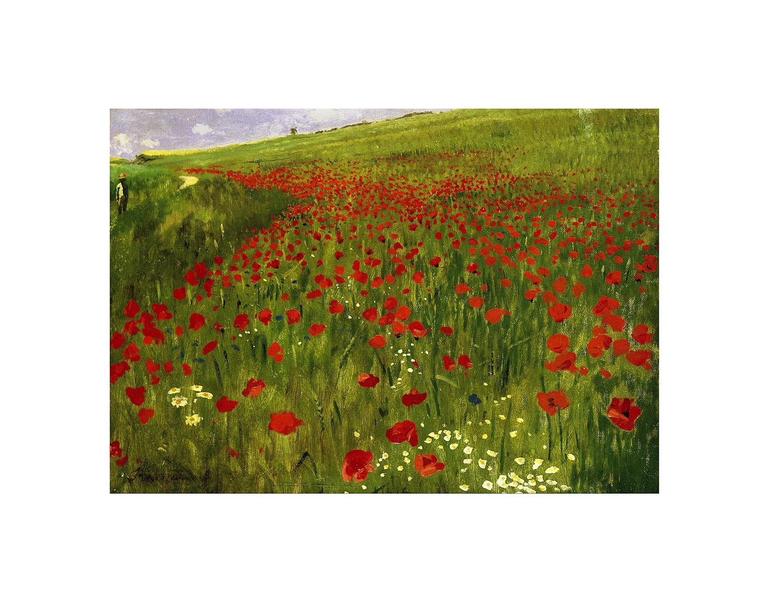 Wee Blue Coo Painting Merse Meadow With Poppies 12x16 Wall Art Print