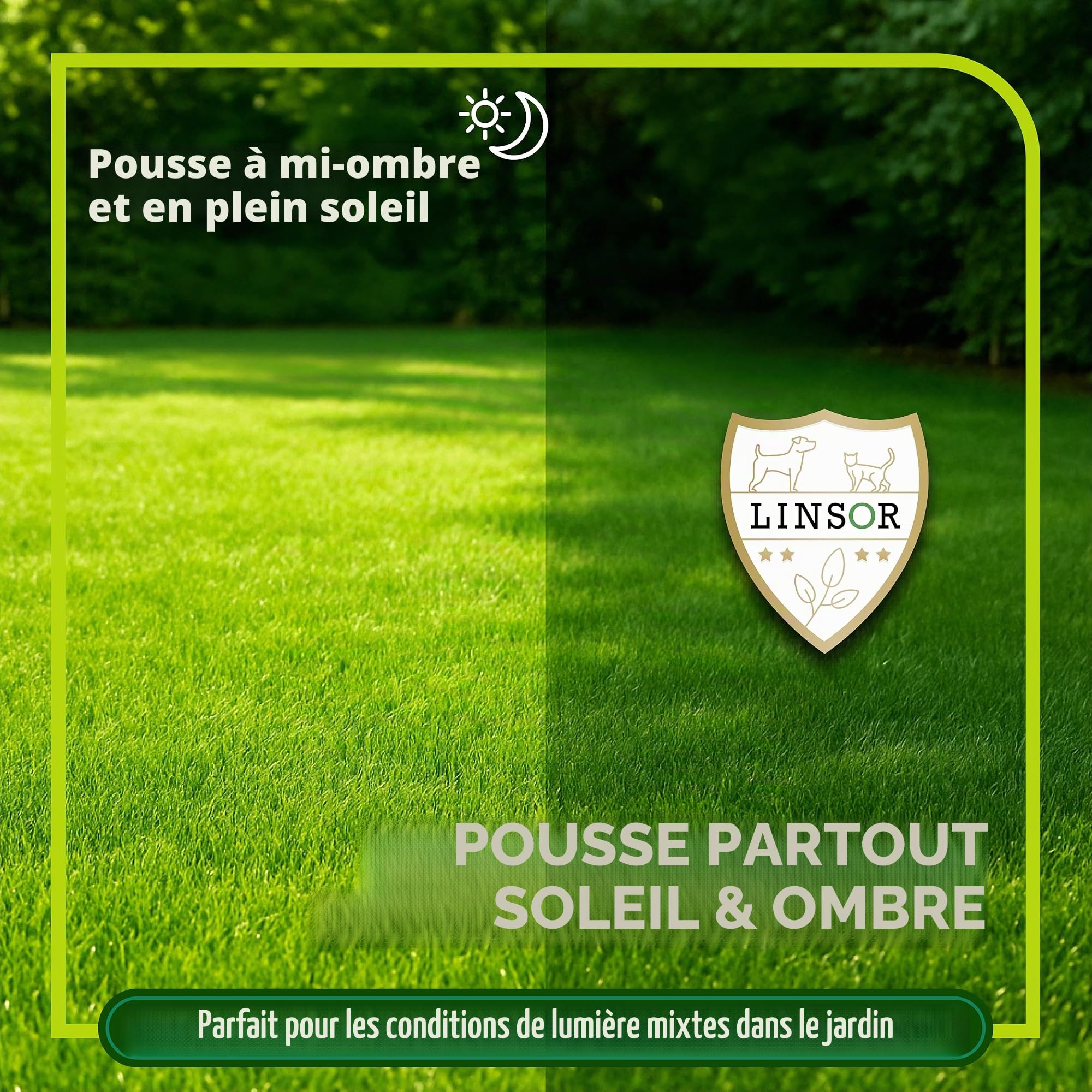 Gazon magique, 10 kg pour 500 m², graines de gazon à germination rapide, mélange de graines de qualité supérieure
