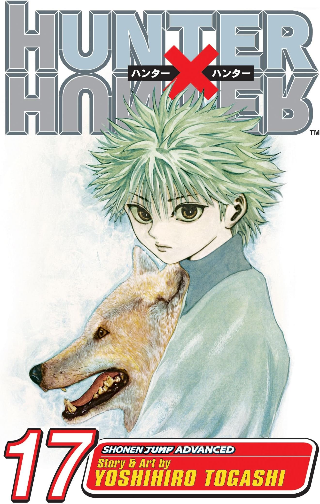 Hunter X Hunter Vol. 17