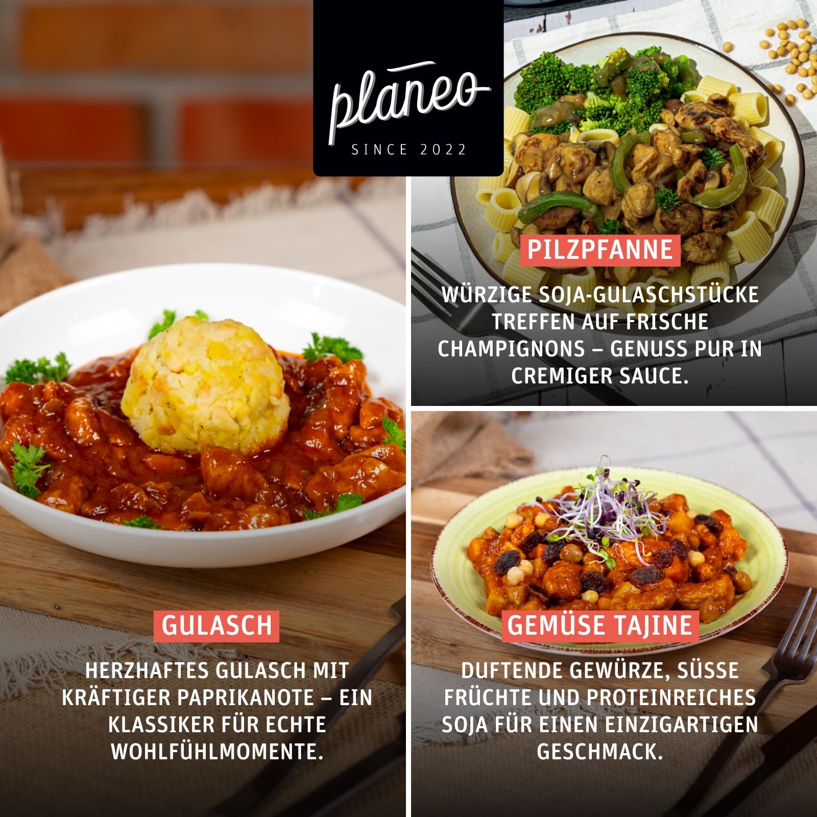 Planeo Soja Gulasch 7kg - Soja aus Österreich - Gentechnikfrei - Perfekt für Gulasch und Herzhaftes - Perfekt für Gastro