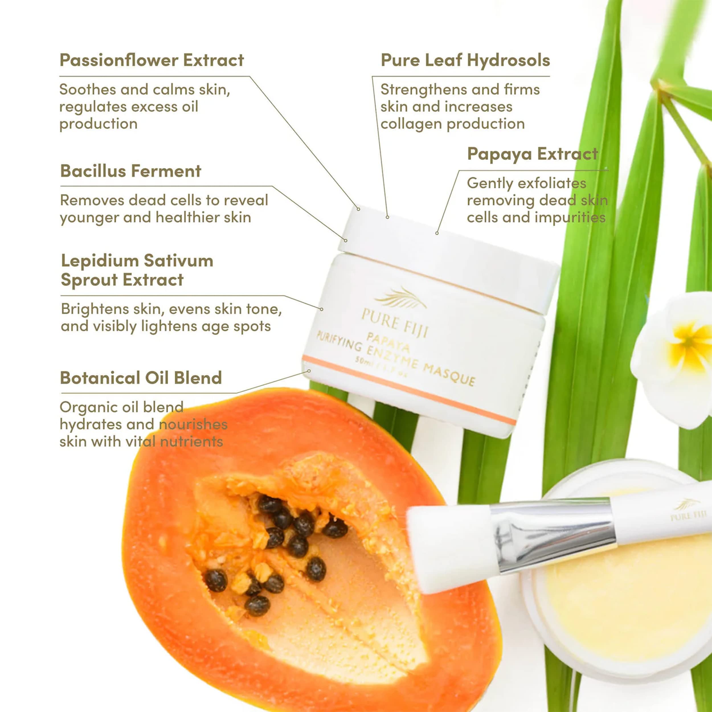 Amazon.com : PURE FIJI Papaya Enzyme Face Mask - Hydrating Face