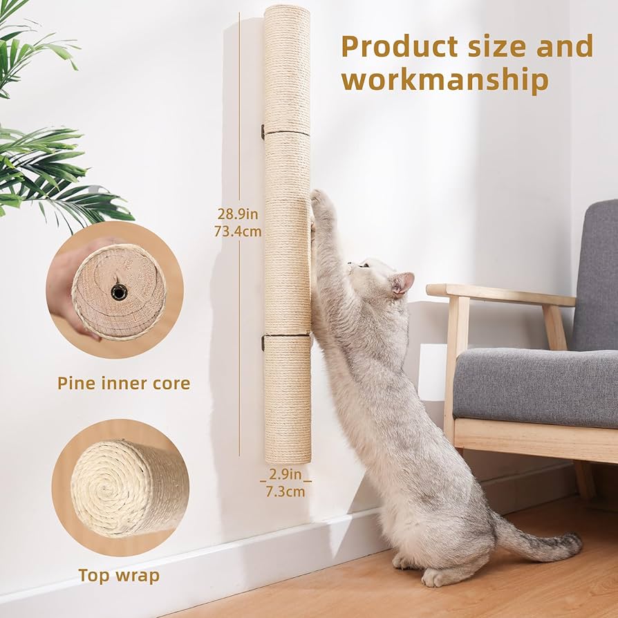 ねこ松 楽天市場】【10/5限定2人に1人最大100%P】セパレートベッド付き