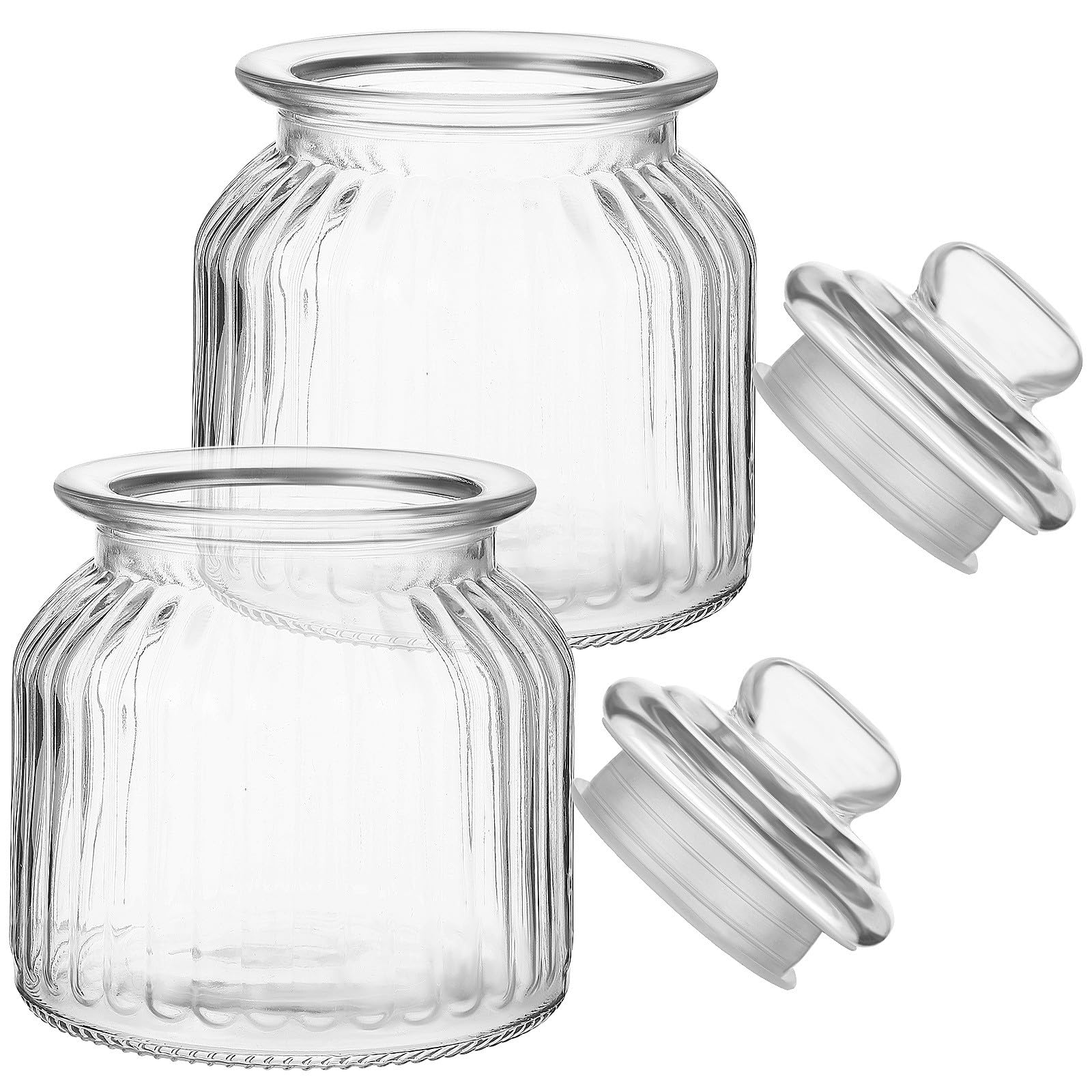 TOYANDONA Contenitori Coperchio Ermetico Set 2 Barattoli da 650ml in Vetro per Snack e Dolci per Feste e
