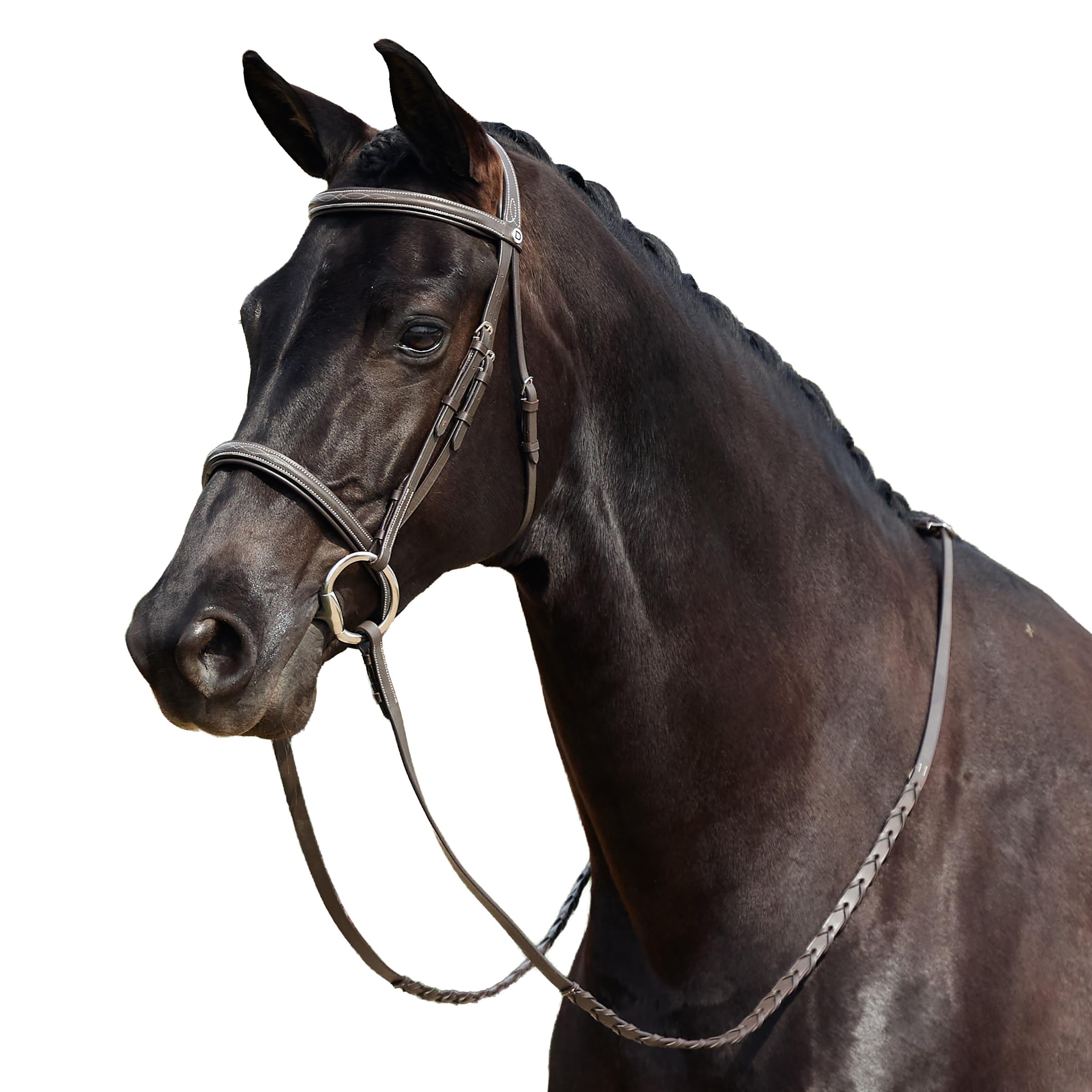Dublin Padded Mono Crown Fancy Stitch Hunt Bridle, Brown, Cob