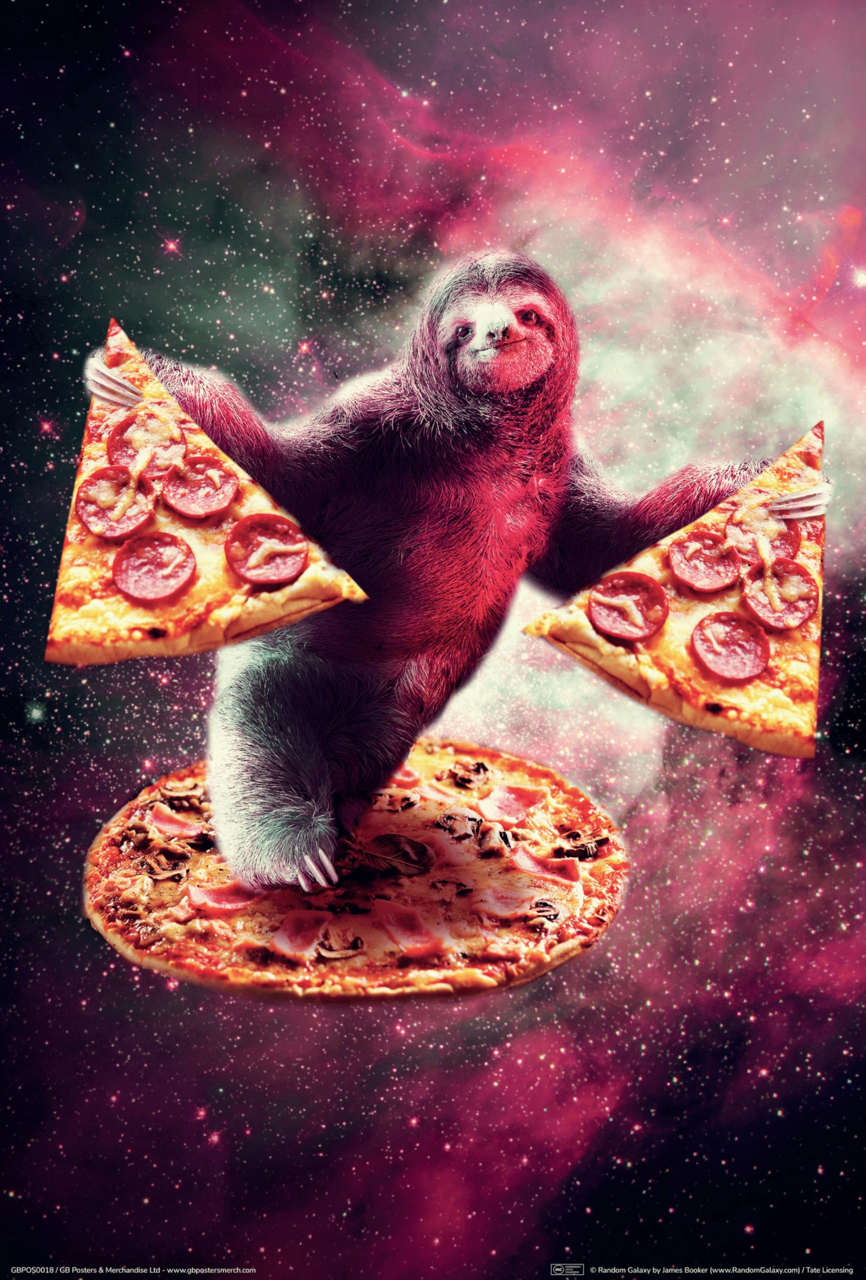 Gb Posters Multicolour Pizza Sloth 61 X 91.5Cm Maxi Poster 61 X 91.5Cm / 24.2 X 35.8 Inches Maxi Poster - Shipped Rolled - Art Poster - Wall Posters - Posters & Prints