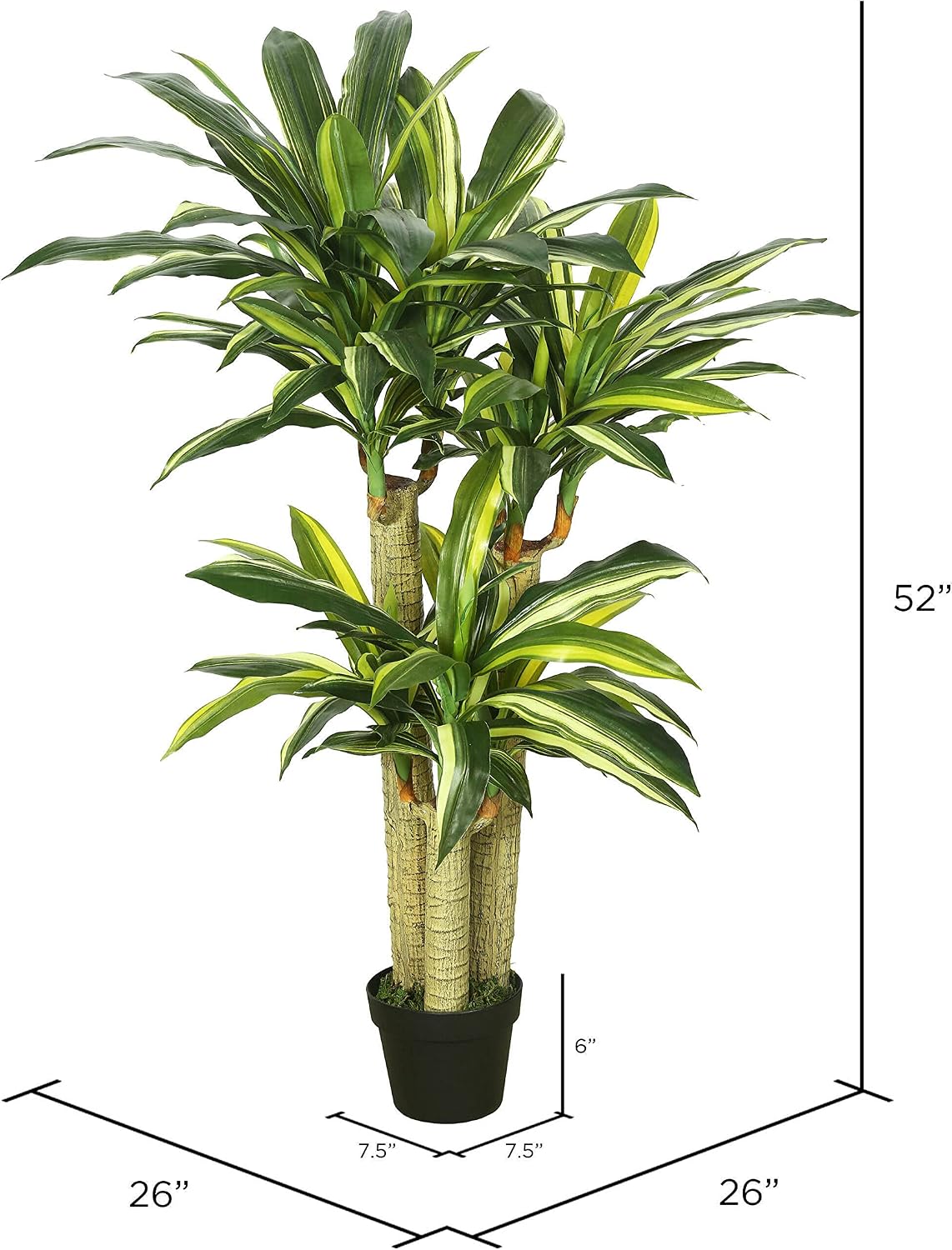 Vickerman 52" Tall Artificial Green and Yellow Dracanea Tree - Lifelike Home Decor