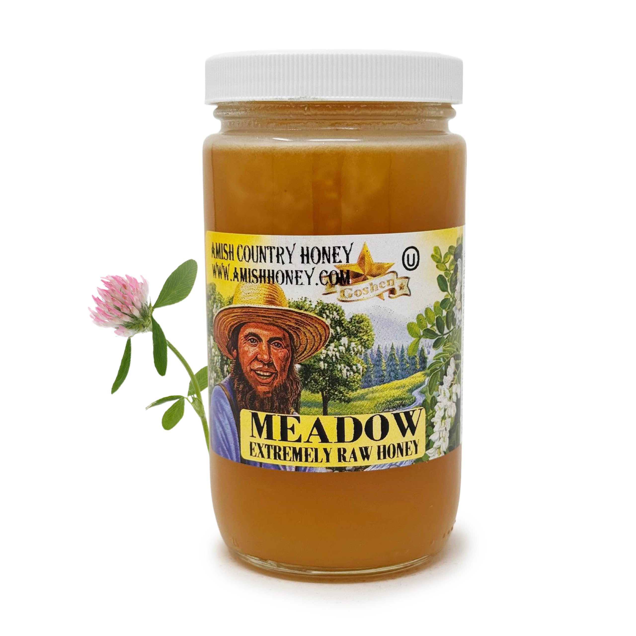 Goshen Amish Country Extremely Raw Meadow Steppe Honey - Unfiltered, Unprocessed, Pure & Natural - Harvested in the USA - Rich Flavor for Tea, Cooking, Wellbeing - Kosher Certified - 16oz Glass Jar