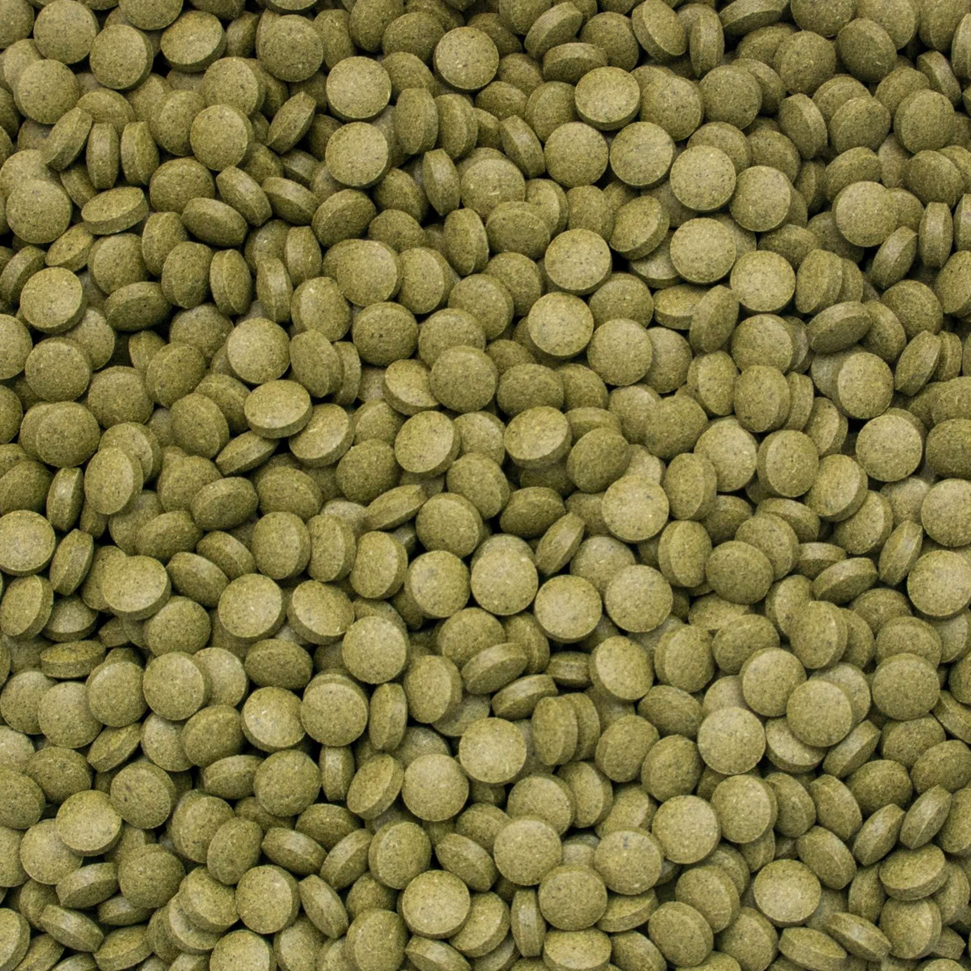 Pokarm uniwersalny dla ryb slodkowodnych i morskich 3-algae tablets tabletki tonące B 2kg / 2L / 10000 szt.