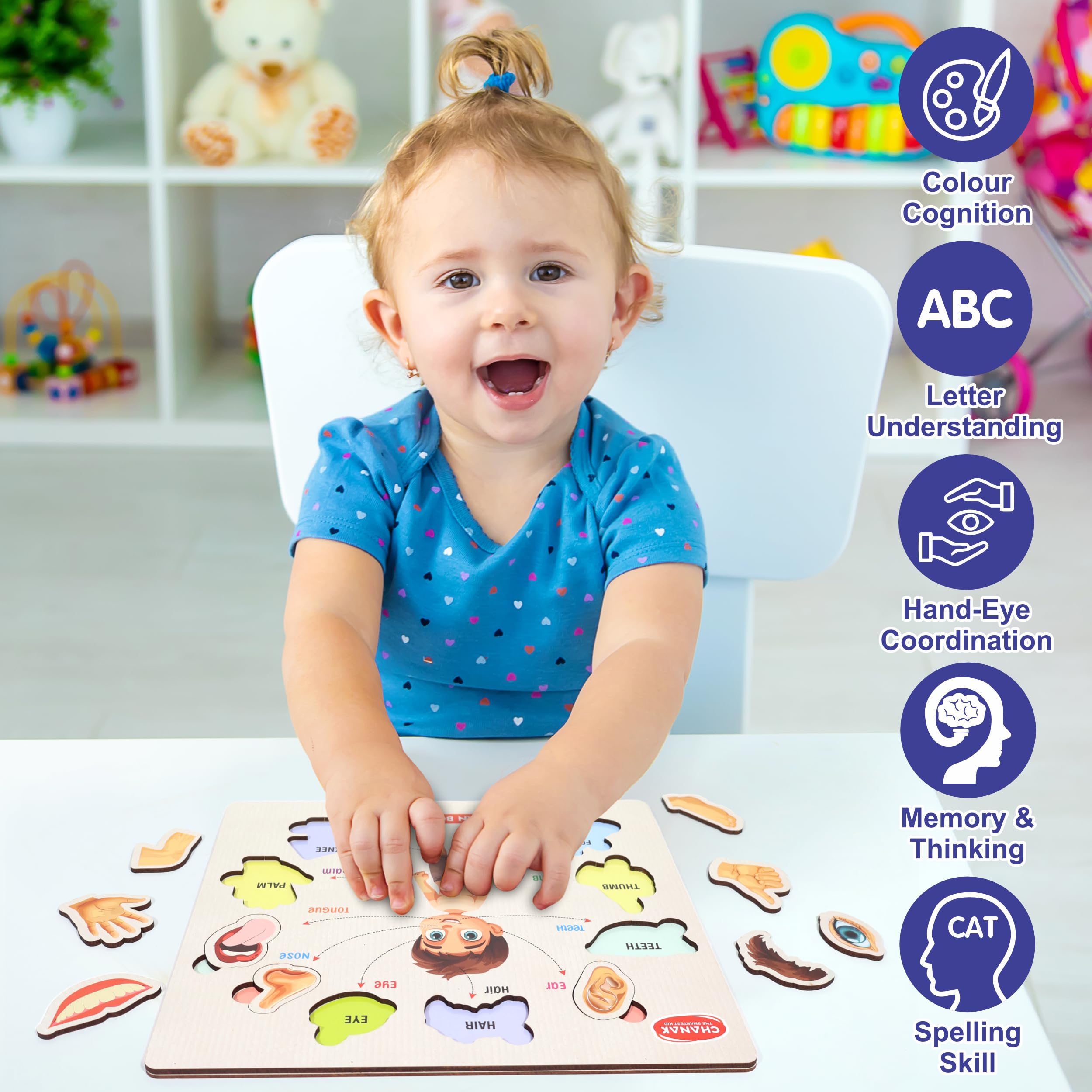 Aditi Toys Wooden Human Body Parts Puzzle with Picture Educational 10 Piece Anatomy Board for Kids Montessori Learning Puzzle for Toddlers & Preschoolers, Nursery and Kindergarten Age Above 2+ Years - Image 6 thumbnail