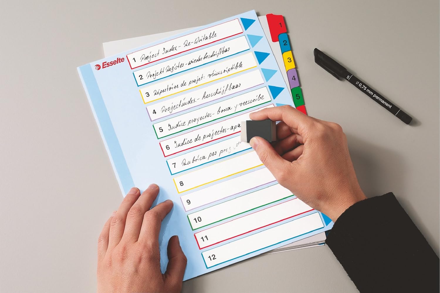 Esselte A4 12 Positions Reusable Index Divider
