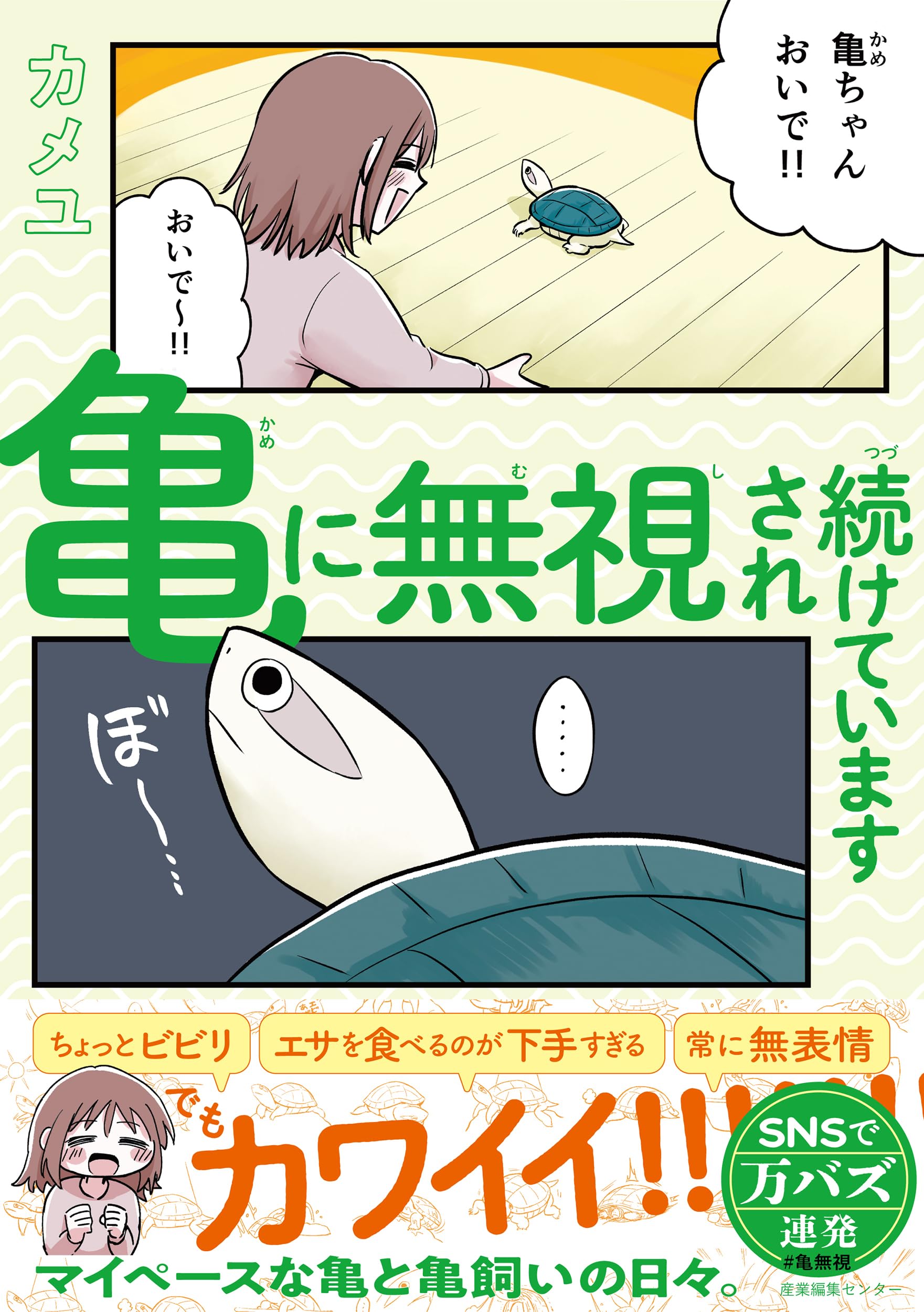 亀に無視され続けています | カメユ |本 | 通販 | Amazon
