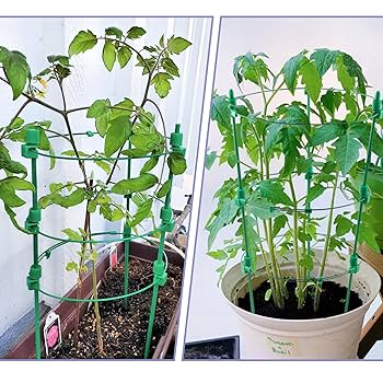 【新品】Hang out GRNT Plants Statnd 650&440 Amazon.com : SJZXUV Vertical Hydroponics Growing System Kit