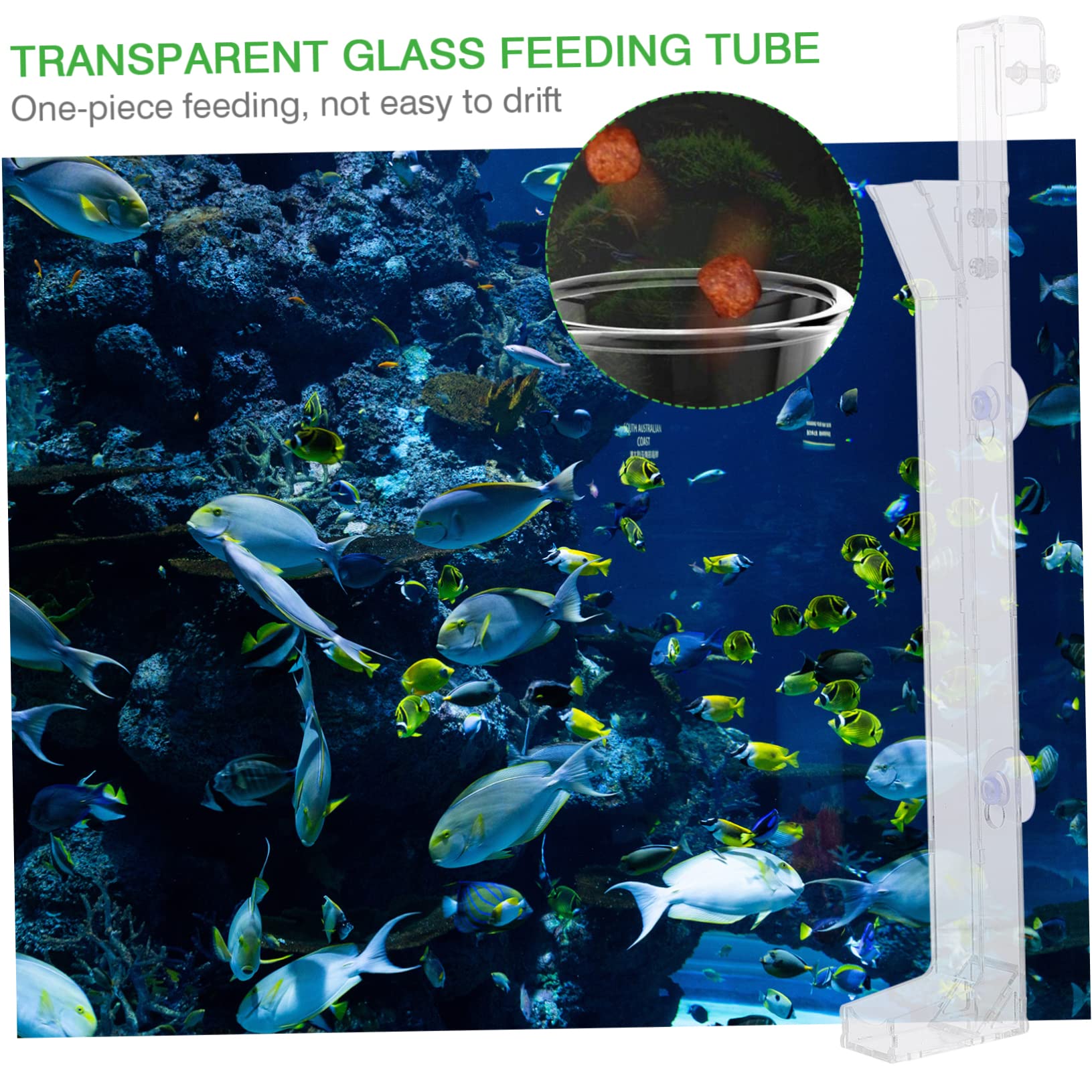 Kisangel 2pièces Tube Transparent pour Alimentation De Crevettes Outil De Nourriture Aquatique avec Échelle pour Éviter Le Surdosage Convient pour Crevettes Sang Et Larves Accessoire
