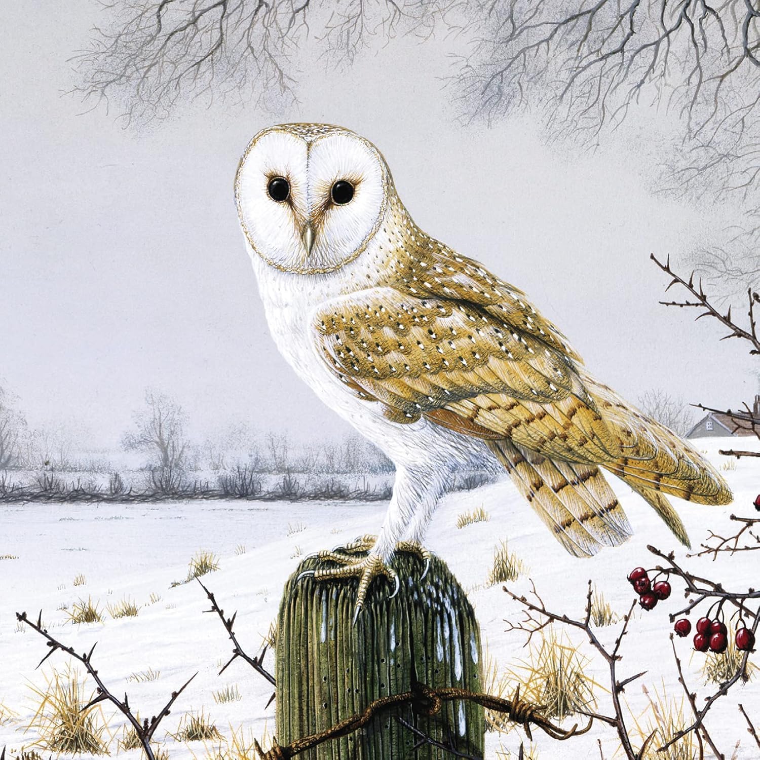 GBCC Charity Christmas Cards Pack of 6, Charity Christmas Cards with Barn Owl Snowy Scene