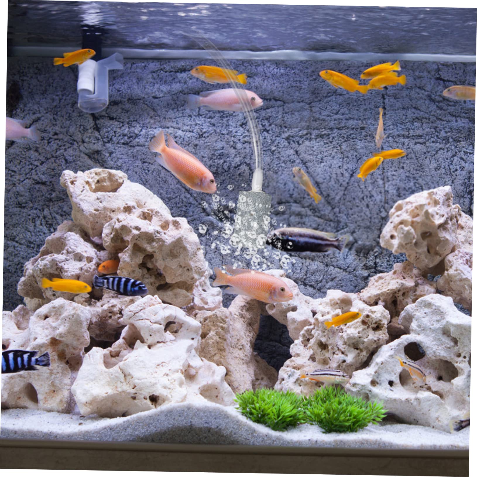 Kisangel 3piezas Bomba De USB para Acuarios y Silenciosa Aumenta El Peceras y Tanques De Agua para Peces y Mascotas Acuáticas