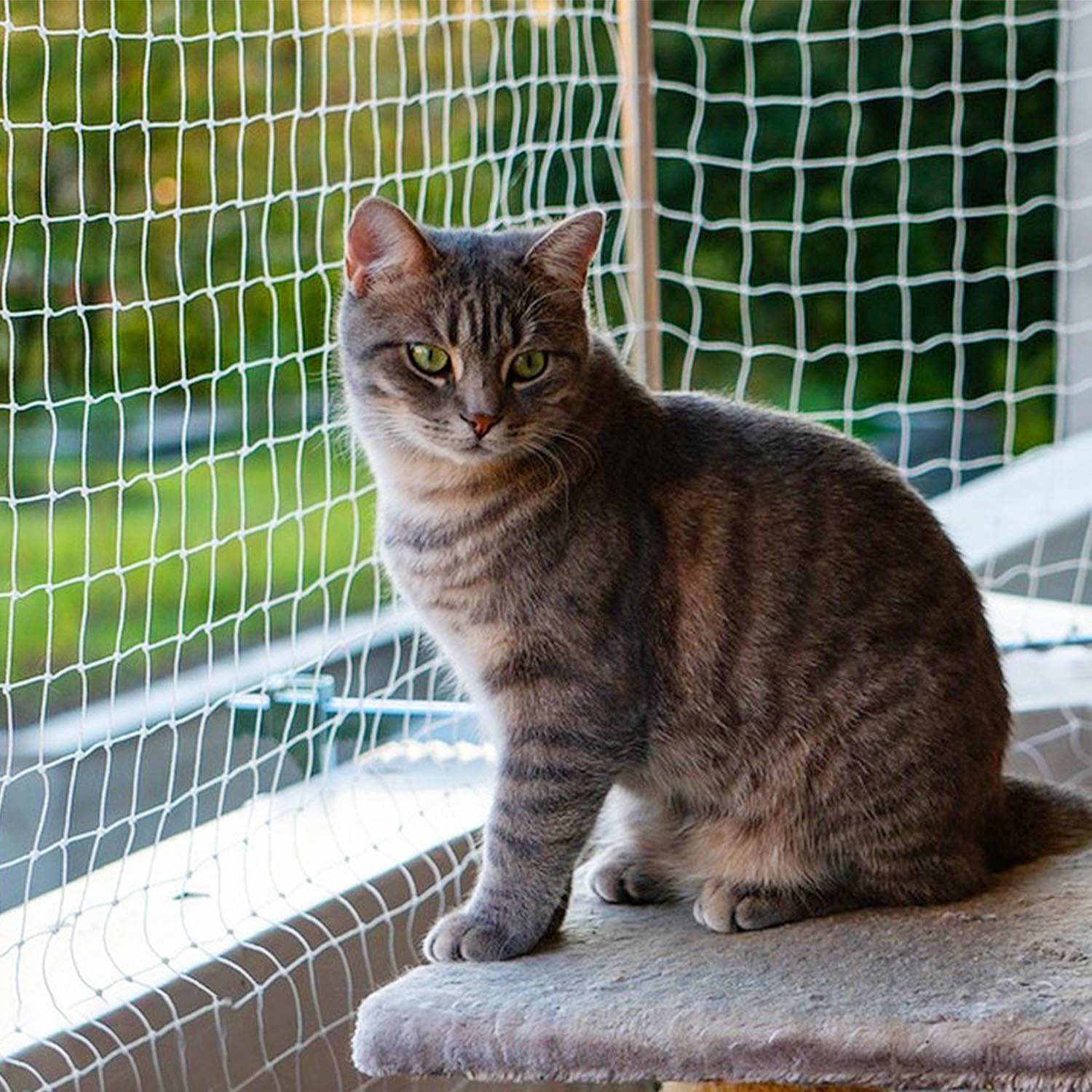 Cat Balcony Net Cat Netting Balcony Rail Net Cat PET