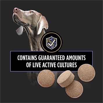 Purina Pro Plan Veterinary Supplements FortiFlora Daily Probiotics for Dogs Chewable Tablets for Digestive Gut Health and Diarrhea - 45 ct. Canister