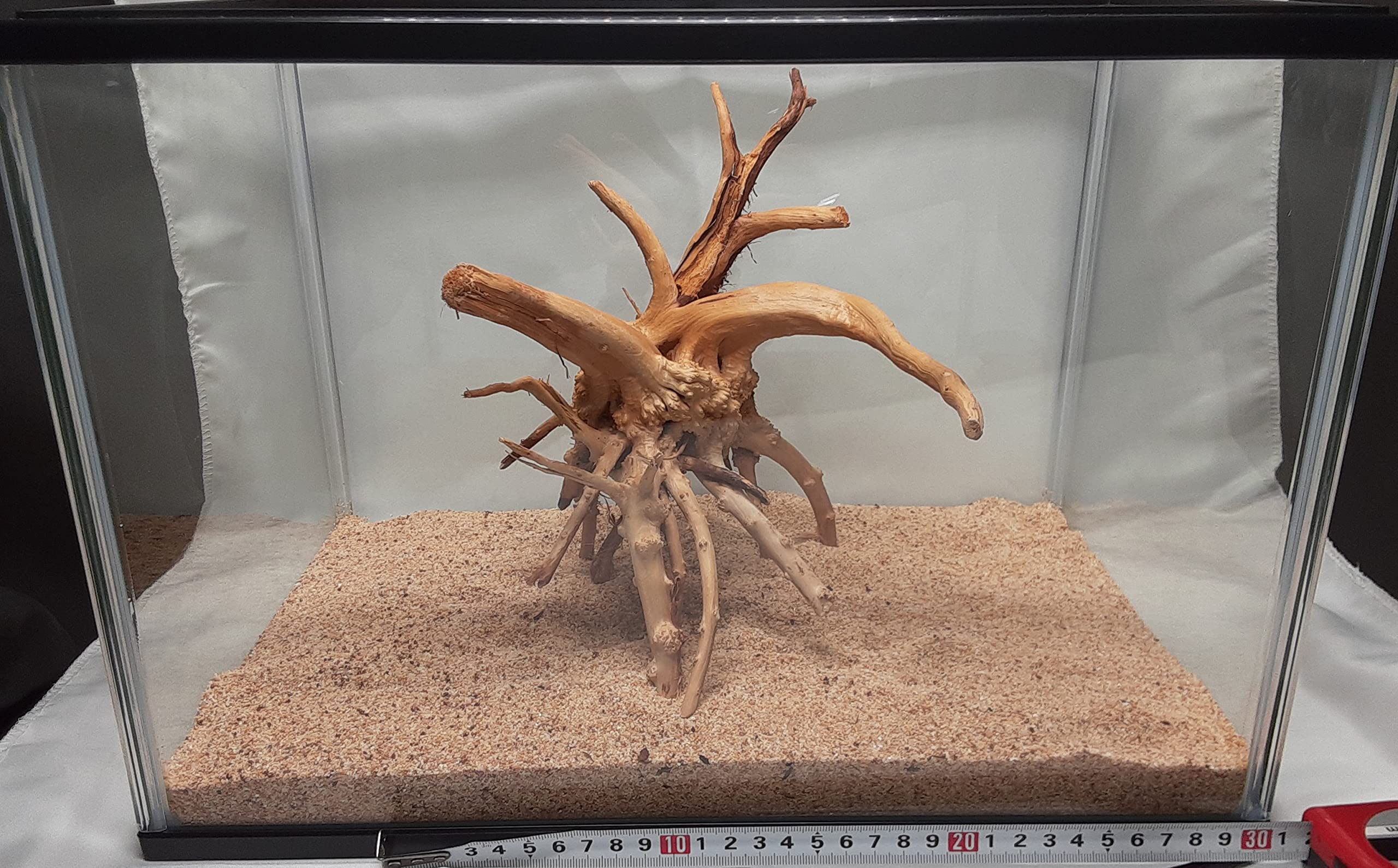 Amazon.co.jp: 【煮込み済み】25～30cm流木 1個 45～90cm