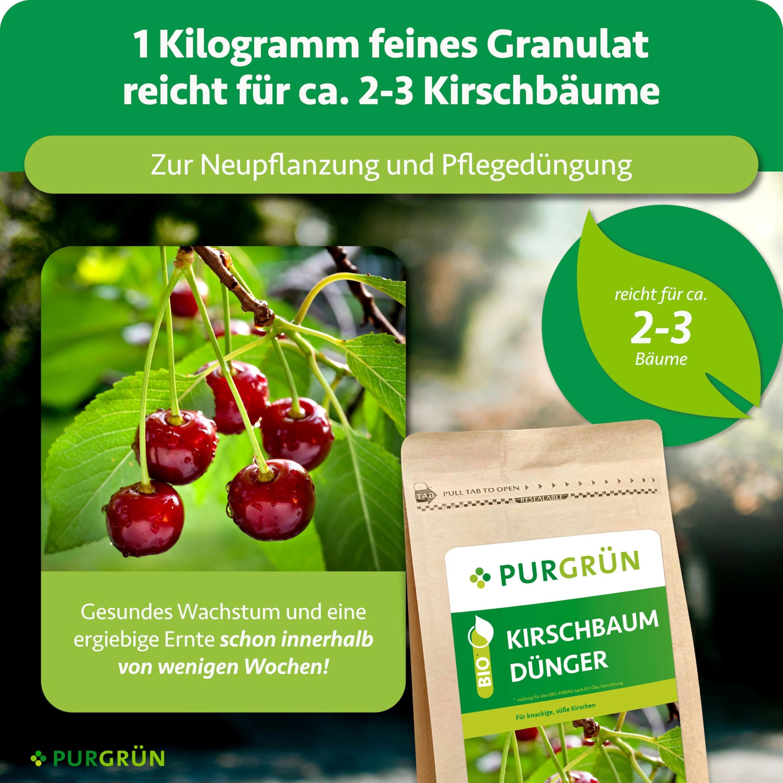 Bio-Kirschbaum-Dünger 1 kg – Organisch-mineralische Rezeptur – Feinkörniges Krümelgranulat – NPK 6+4+5 – Mit Magnesium für saftige, süße Kirschen – Verbessert die Bodenqualität