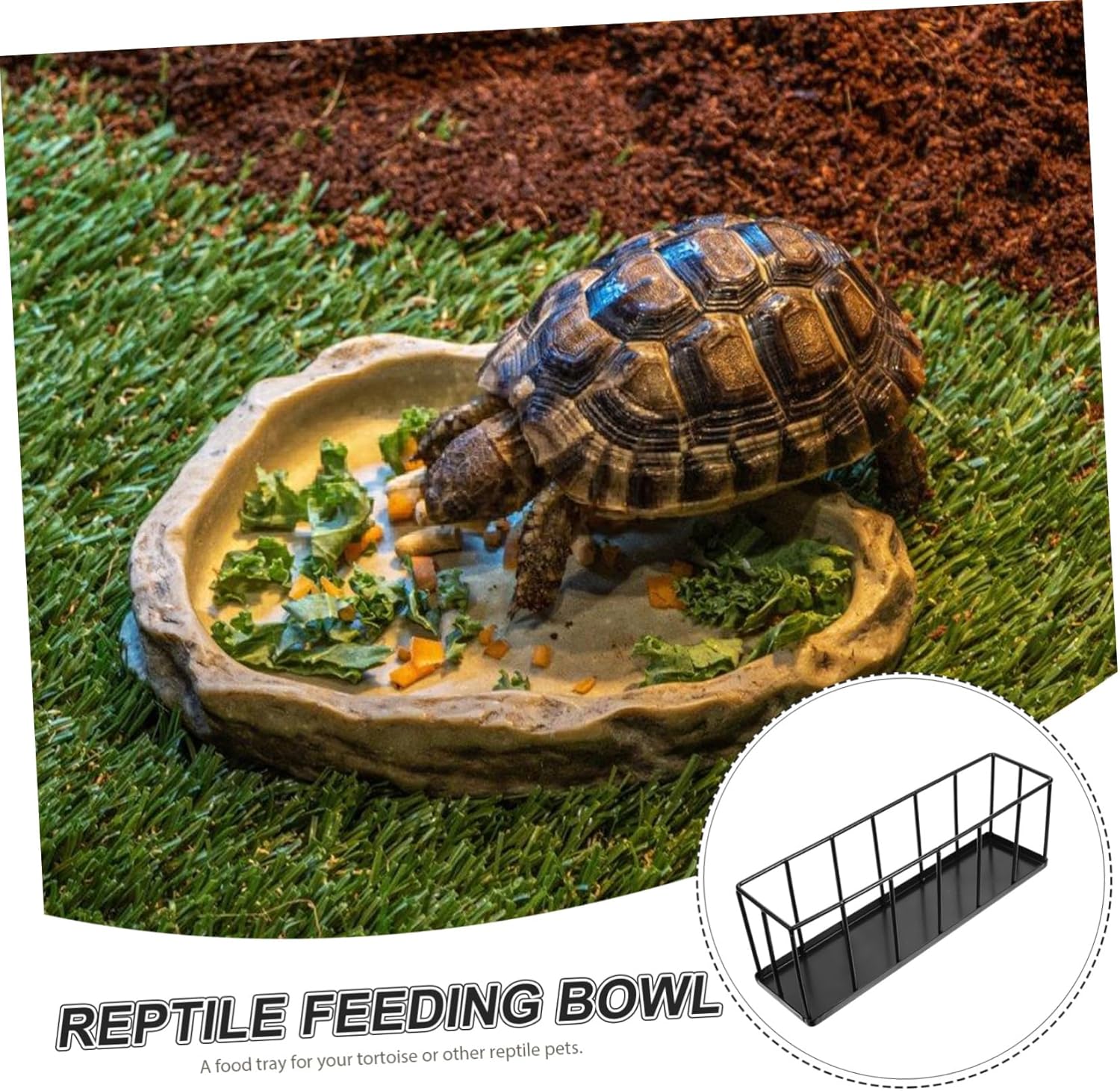 TOYANDONA Portable Reptile Food Tray for Pet Turtle Tortoise Small Dish Mealworm Feeder