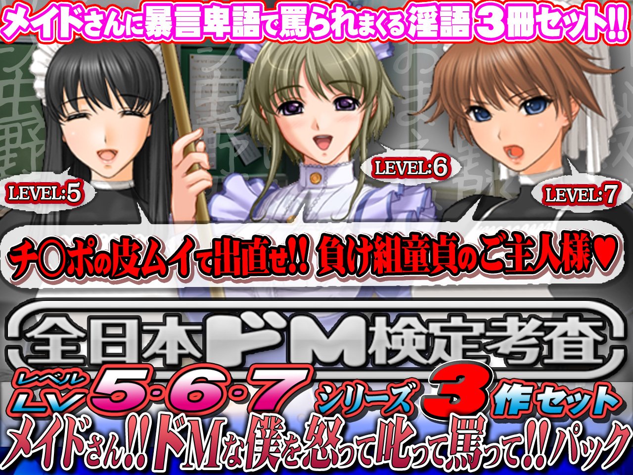 Amazon.ca: 全日本ドM実力検定考査: books, biography, latest