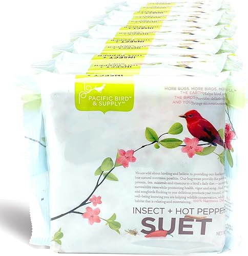 Pacific Bird & Supply Co Pasteles de sebo de insectos + pimiento picante PB-0024 (caja de 12)