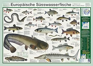 Planet Poster Editions Poissons d'eau douce européens (boîte d'affiches planètes)