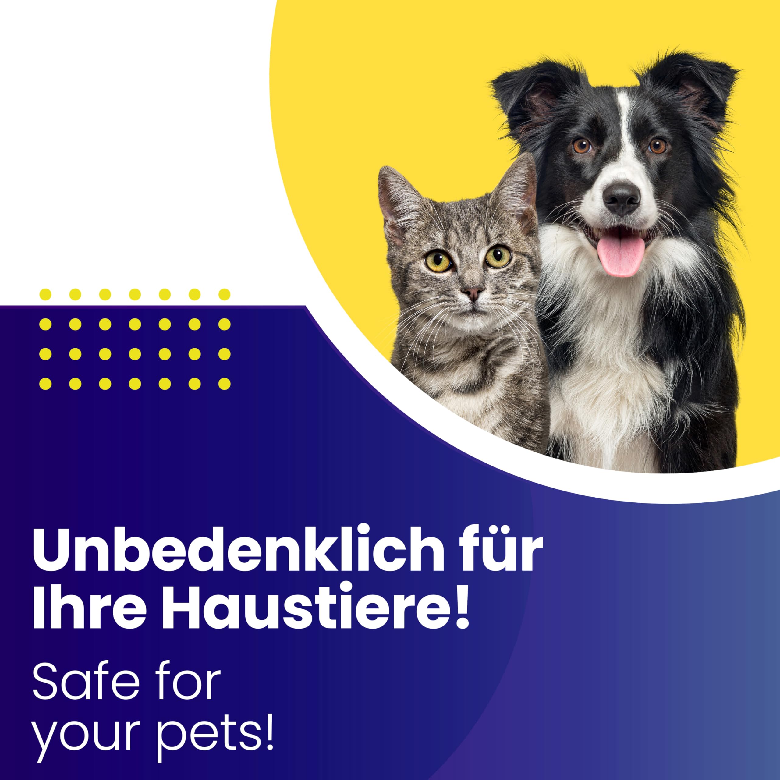 Mr. Perfect Anti-Giardien Wischkonzentrat 5L I Hocheffektives Giardien Desinfektionsmittel für alle Oberflächen I Schonendes Desinfektionsmittel für Giardien für den Haushalt