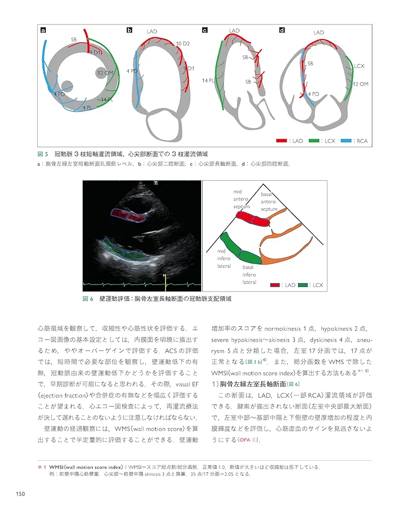 病態・類似疾患別心エコー図検査のルーティン[Web動画付