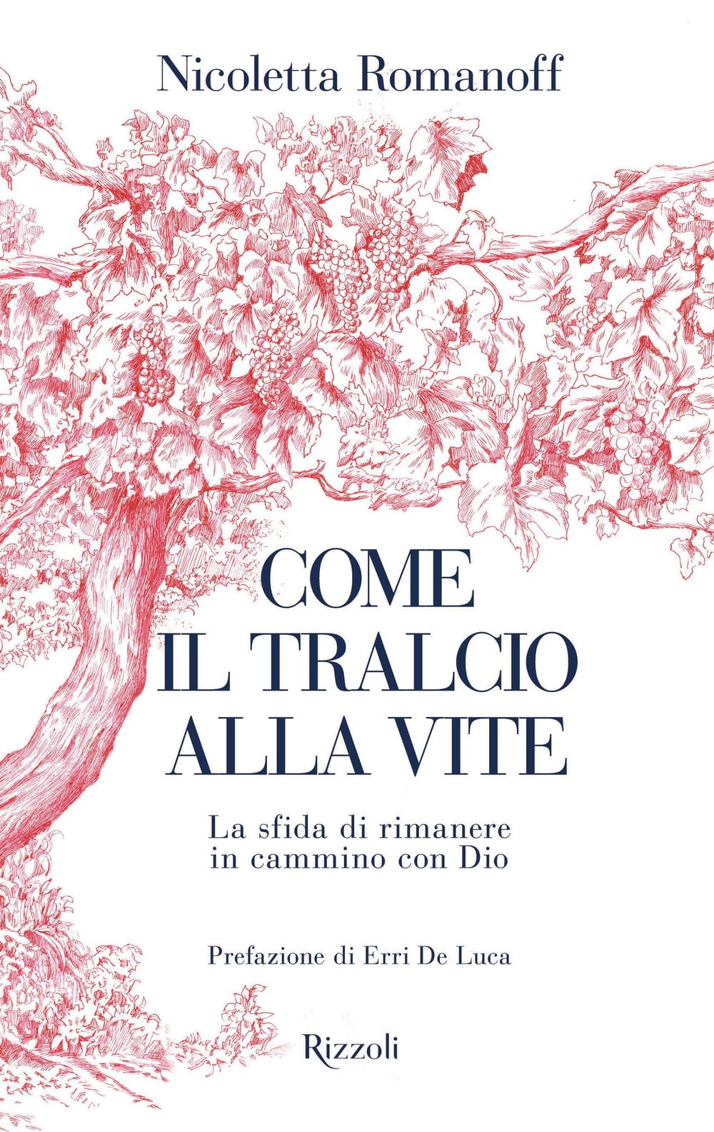 Come Il Tralcio Alla Vite. La Sfida Di Rimanere In Cammino Con Dio - 4