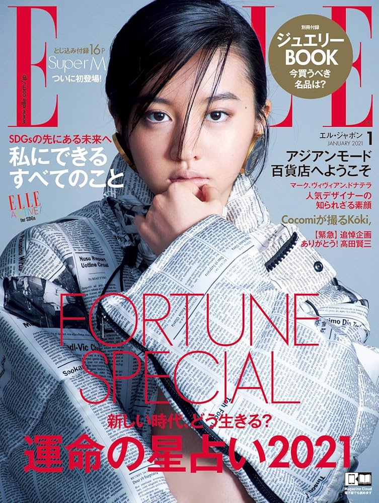 ELLE JAPON エル・ジャポン 廃刊特集号含む3冊セット エル・ジャポン（ELLE JAPON） 2025/08/28発売号から1年(12冊