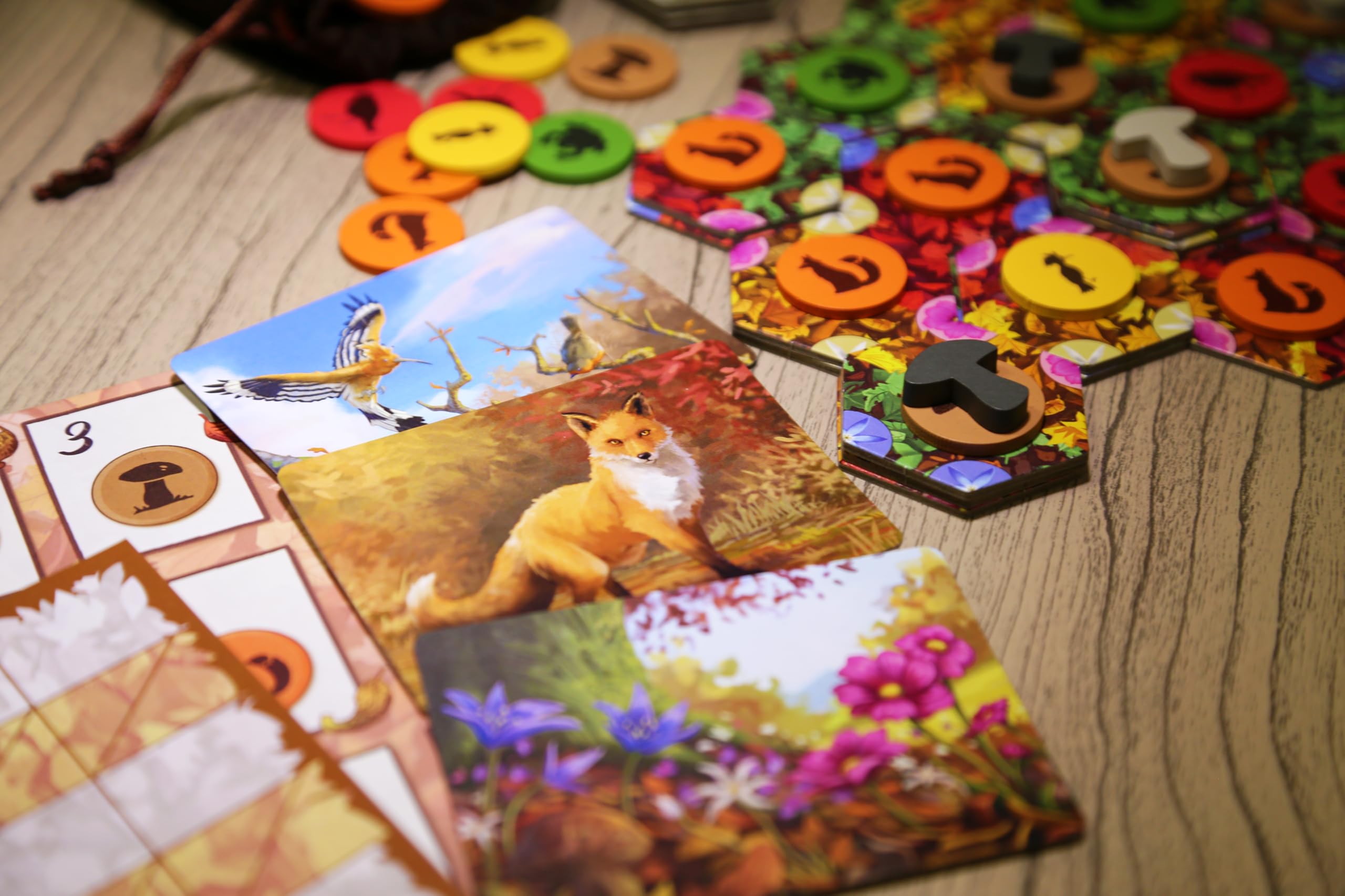 Jeu De Société FALL – Little Rocket Games – Stratégie Nature Automnale – En Italien Et Anglais – Dès 8 Ans