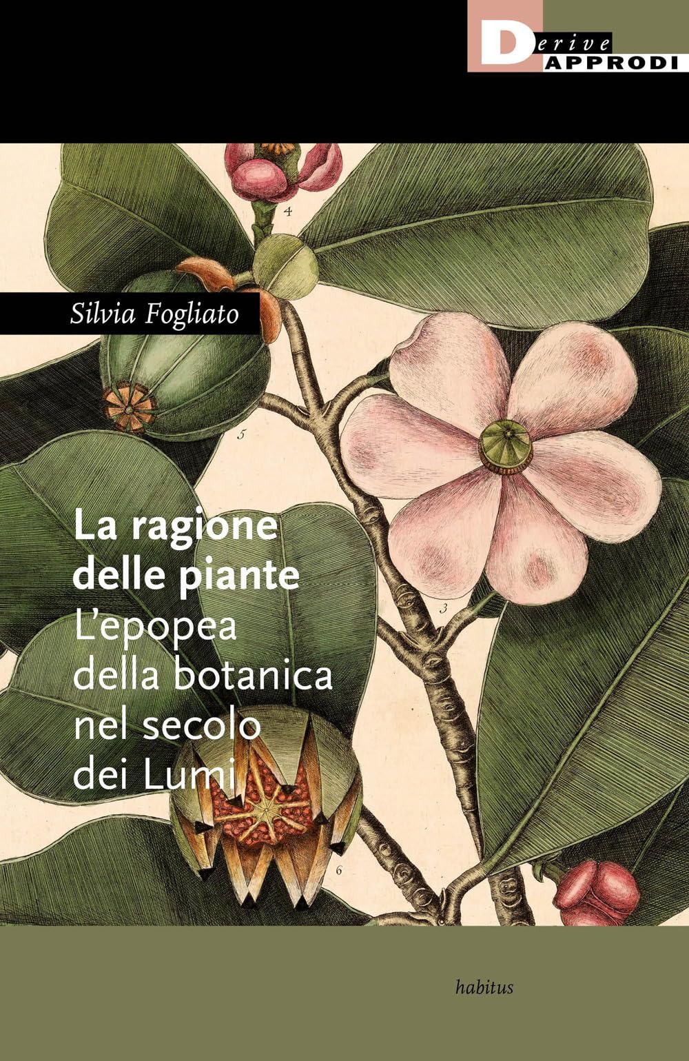 La Ragione Delle Piante. L'epopea Della Botanica Nel Secolo Dei Lumi - 4